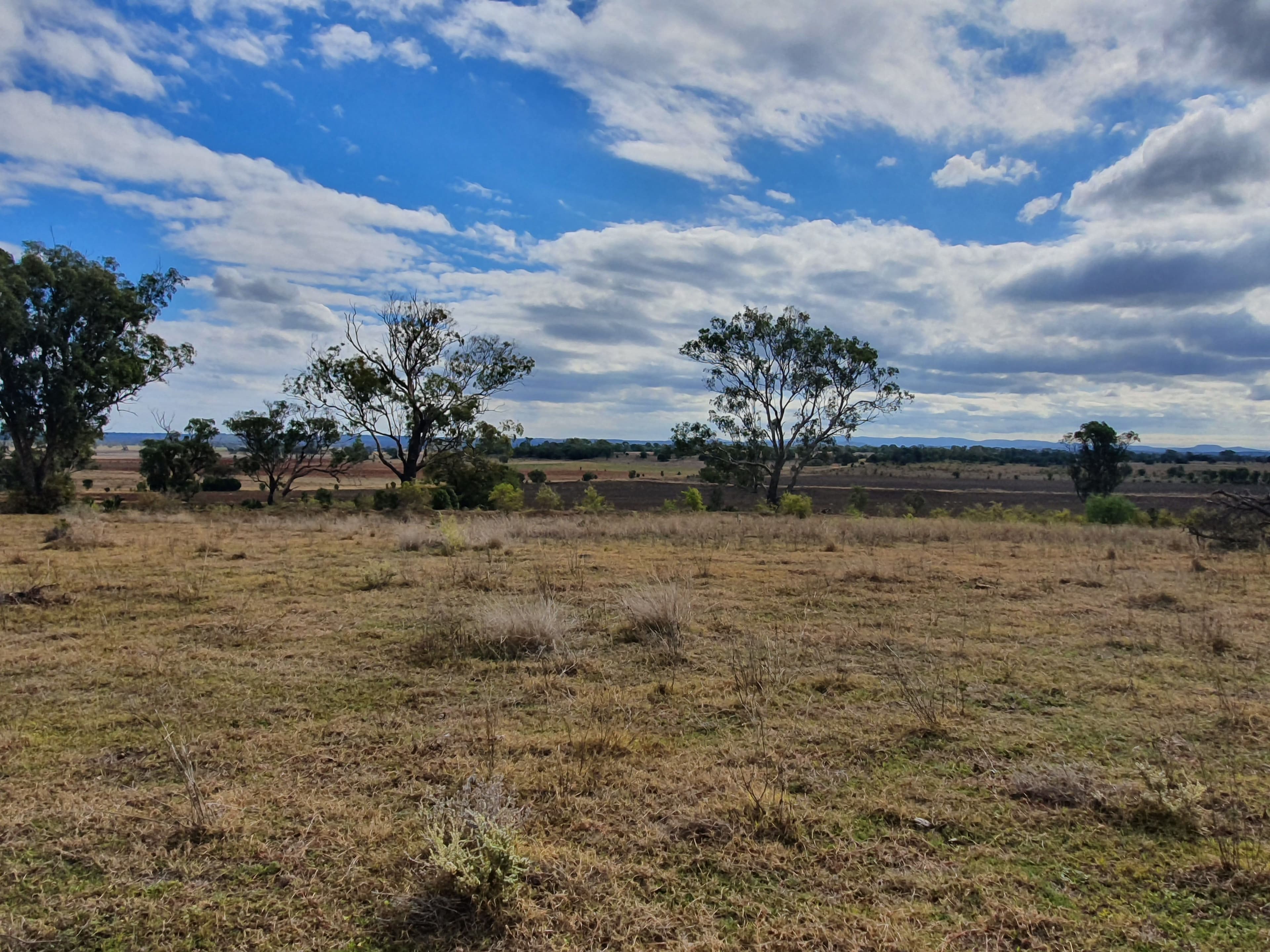 L1 Pechey Maclagan Road, Rosalie Plains QLD 4401, Rosalie Plains - Thumbnail 8