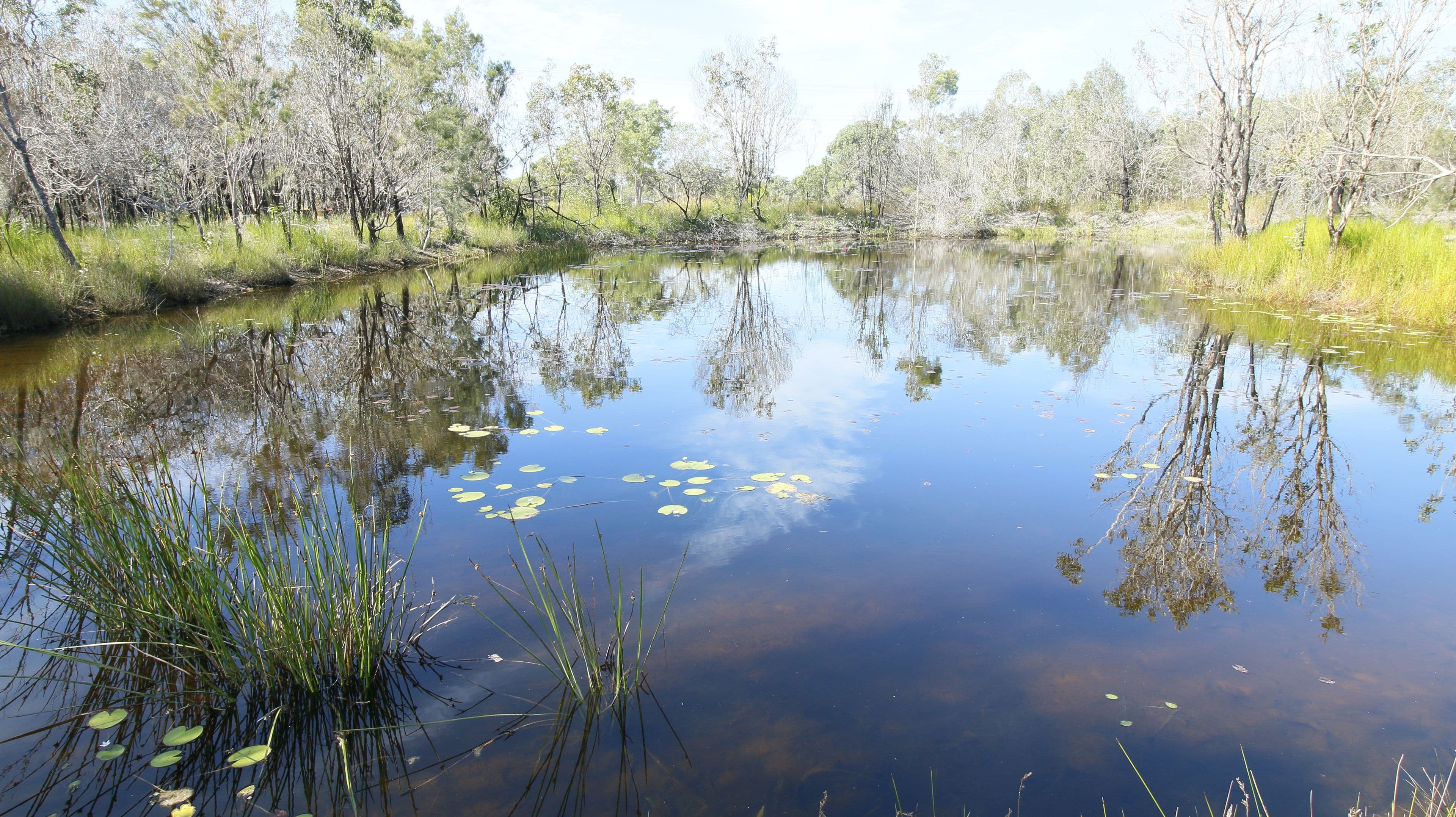 Lot 236 Allingham Way, Agnes Water QLD 4677, Agnes Water - Thumbnail 4