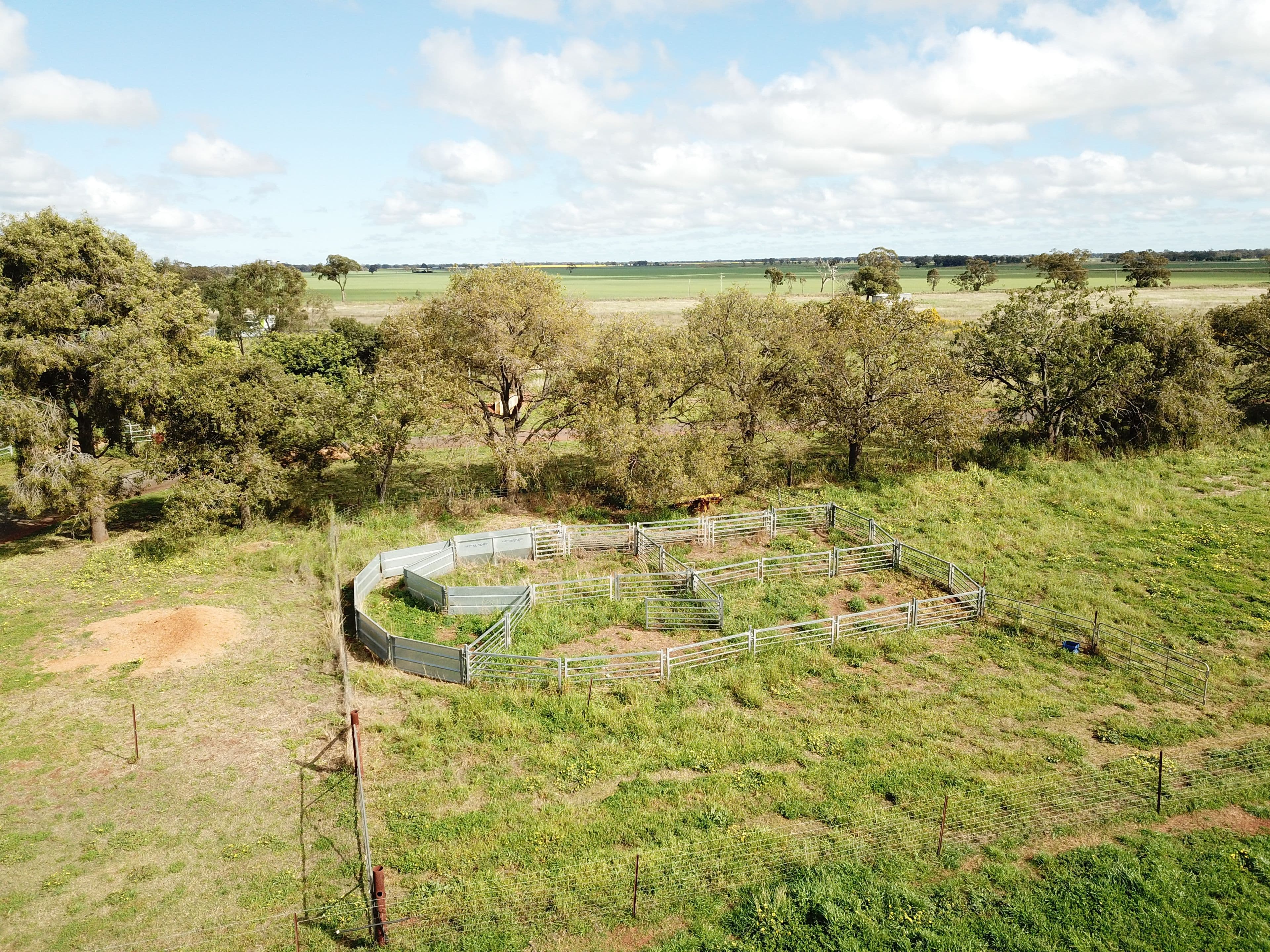 'Redbank' 102L Burraway Road, Terramungamine NSW 2830, Terramungamine - Thumbnail 6