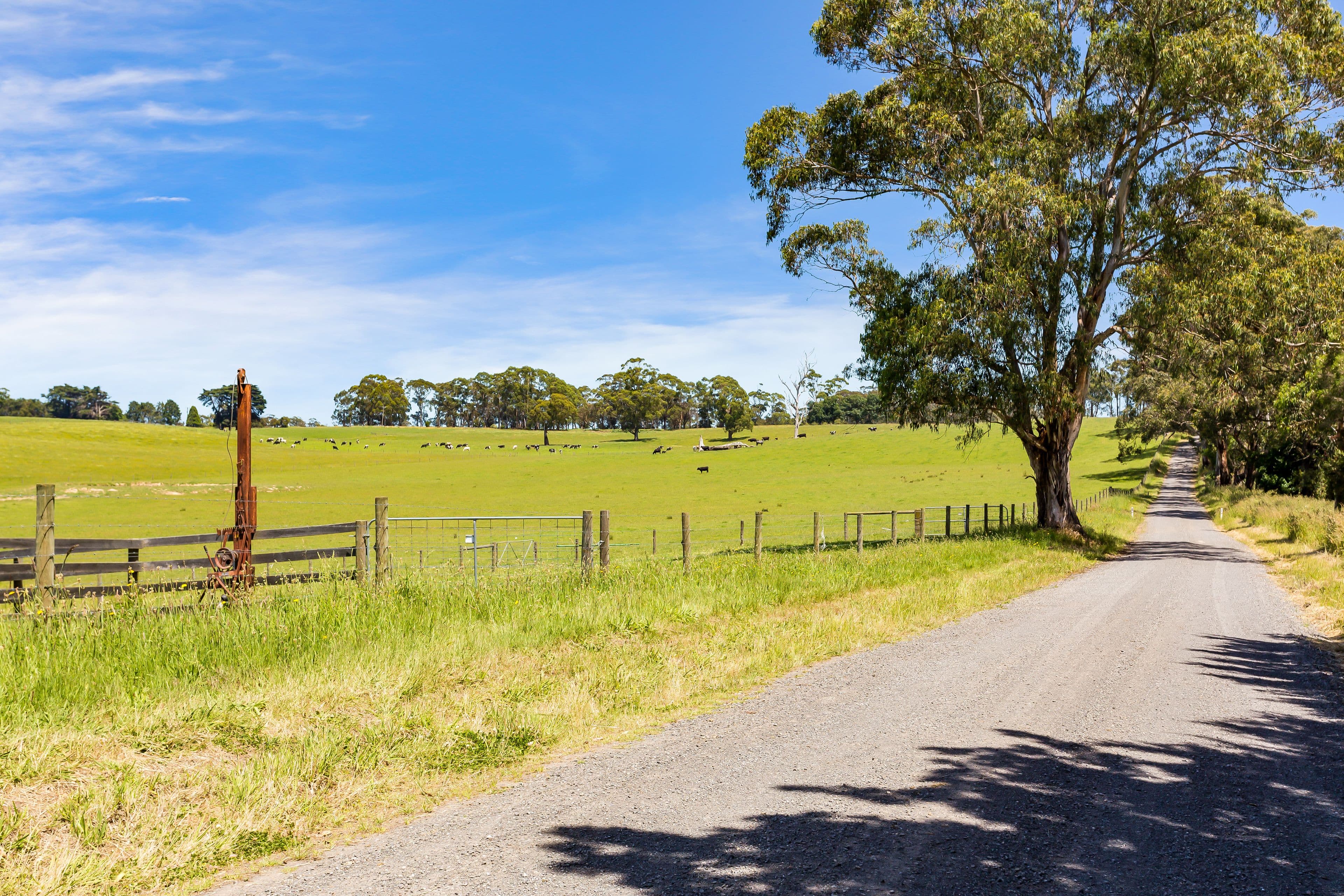 Lot 1 Standfields Road, Poowong North VIC 3988, Poowong North - Thumbnail 5