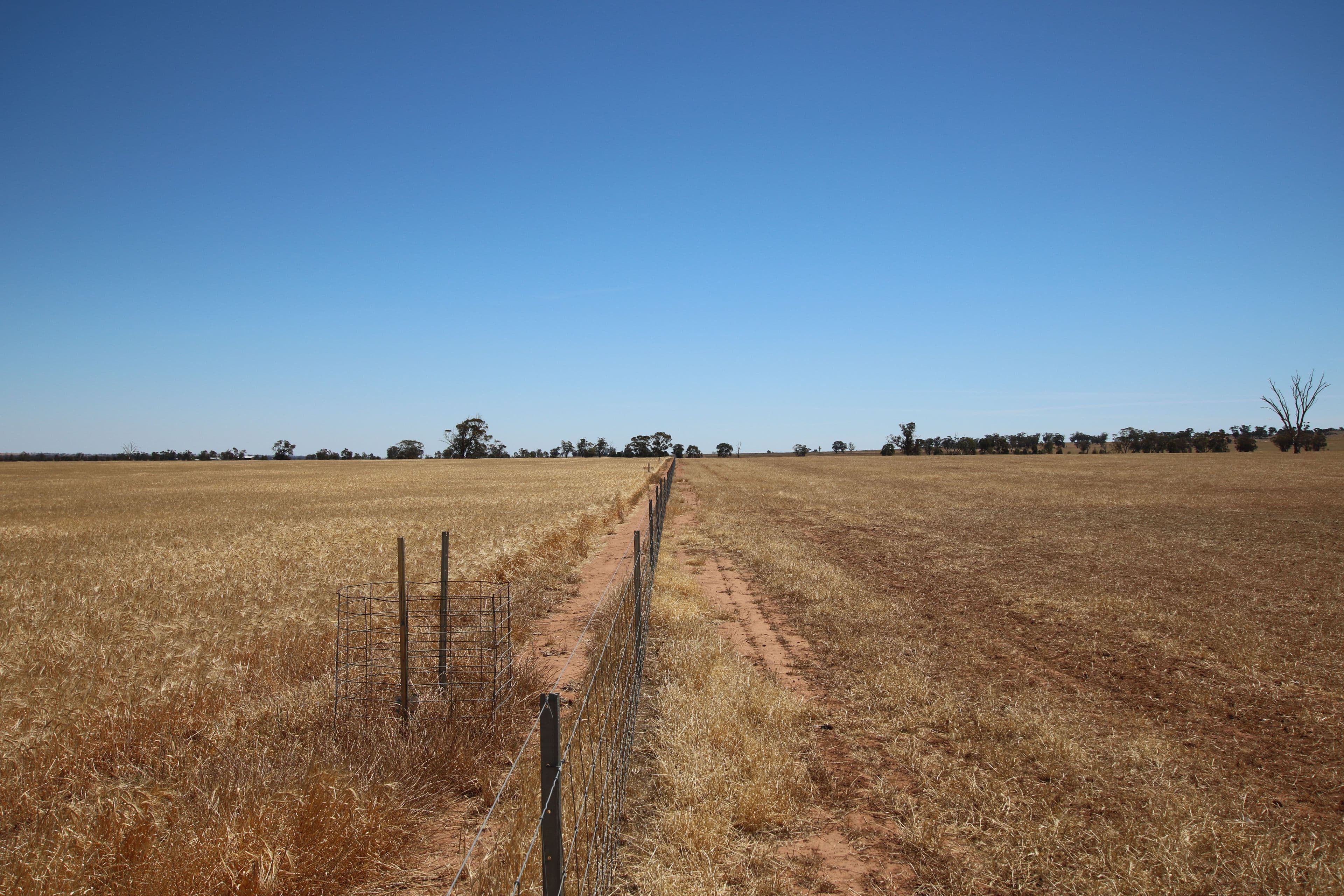 00 Seven Mile Road, Dooboobetic VIC 3478, Dooboobetic - Thumbnail 5
