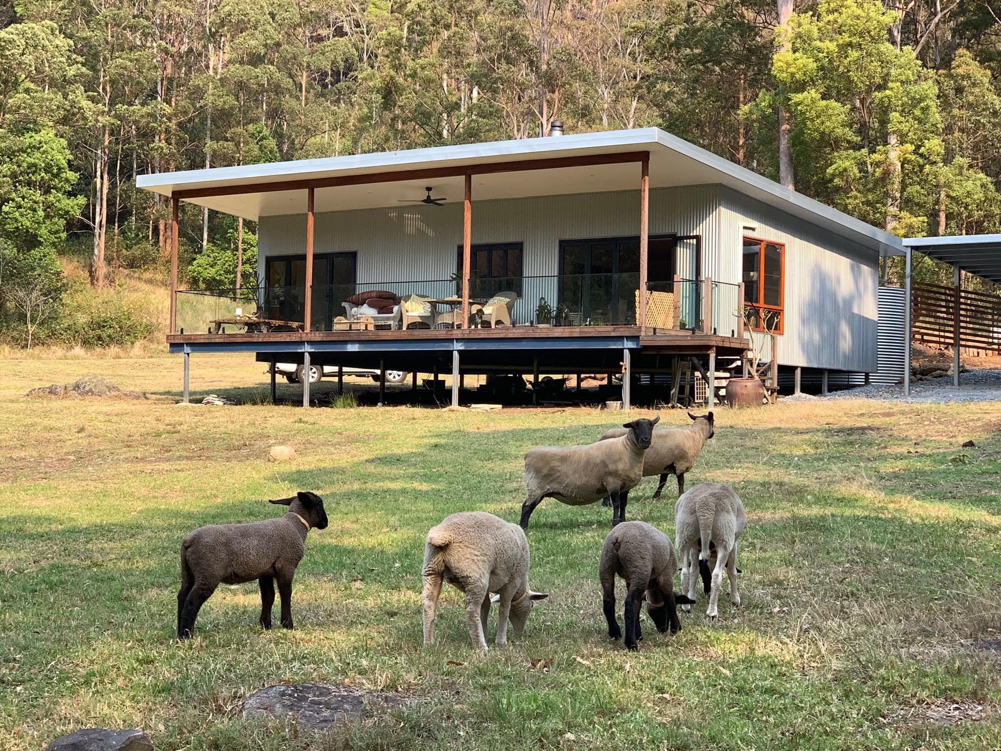 905 Main Western Road, Tamborine Mountain QLD 4272, Tamborine Mountain - Thumbnail 5