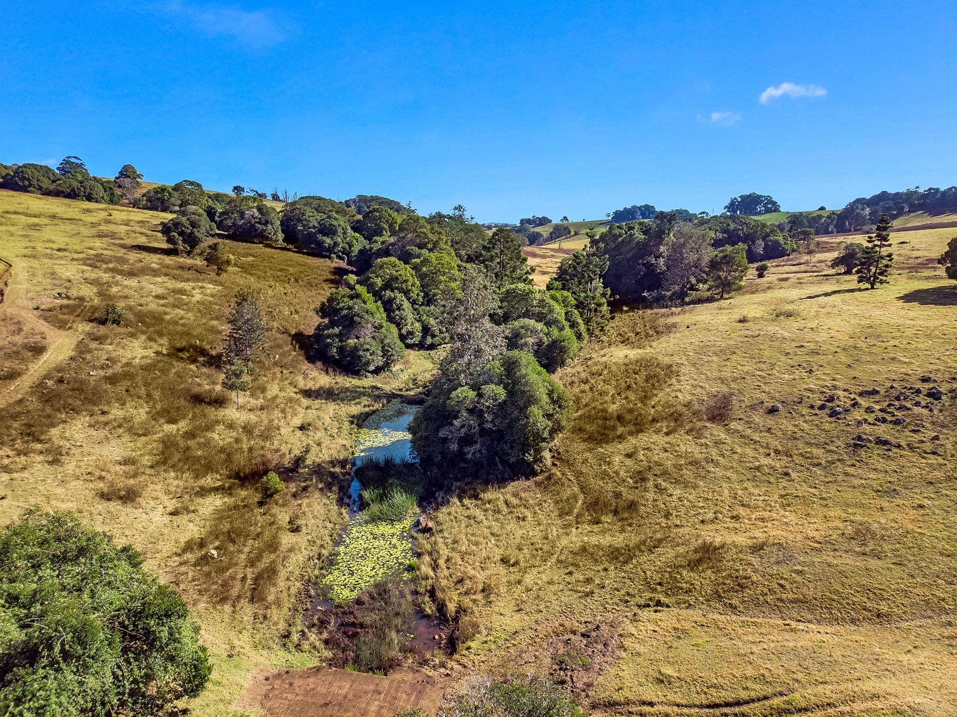 360 Binna Burra Road, Beechmont QLD 4211, Beechmont - Thumbnail 6