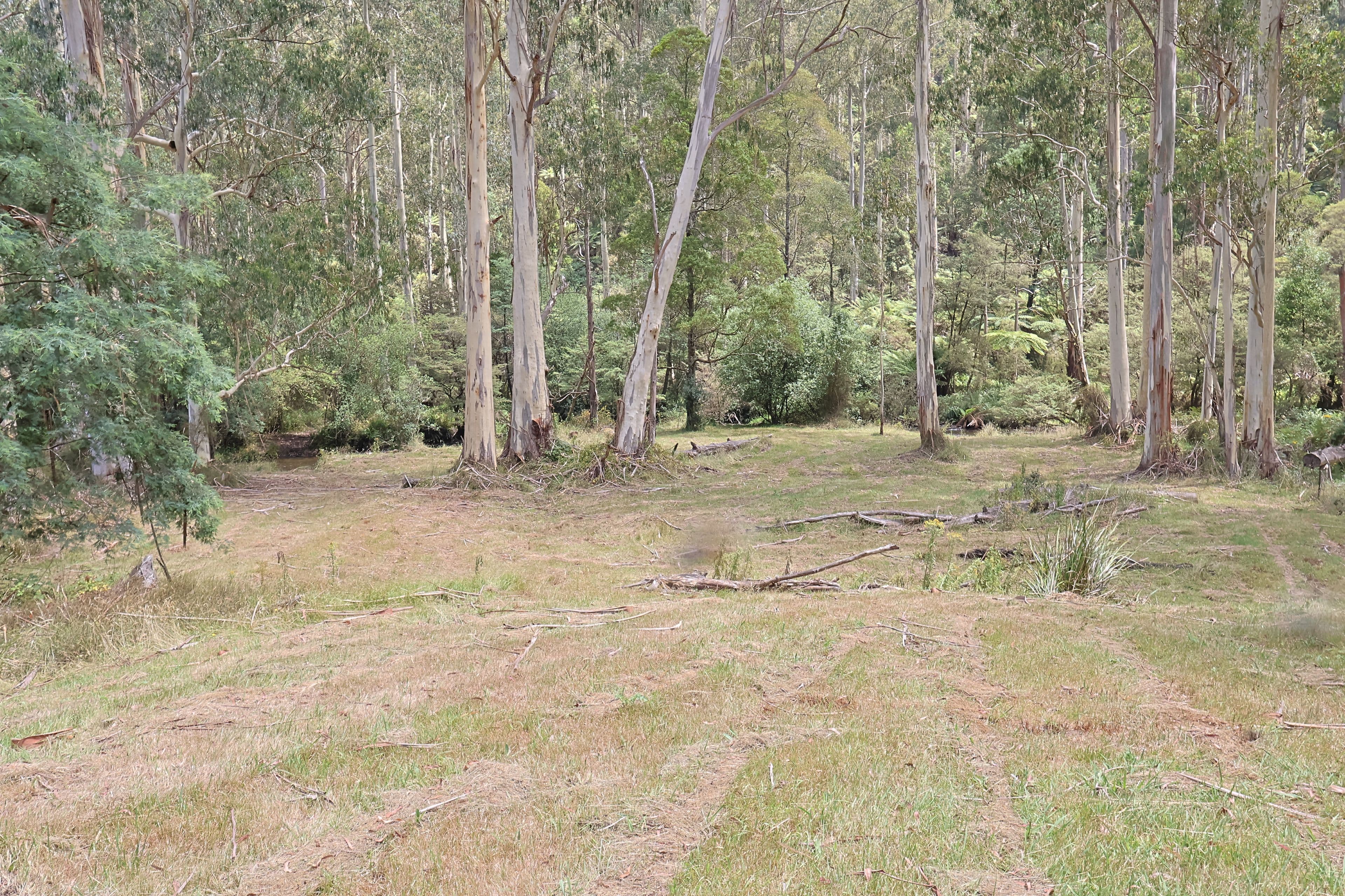 Lot 38 Toorongo Valley Road, Noojee VIC 3833, Noojee - Thumbnail 4