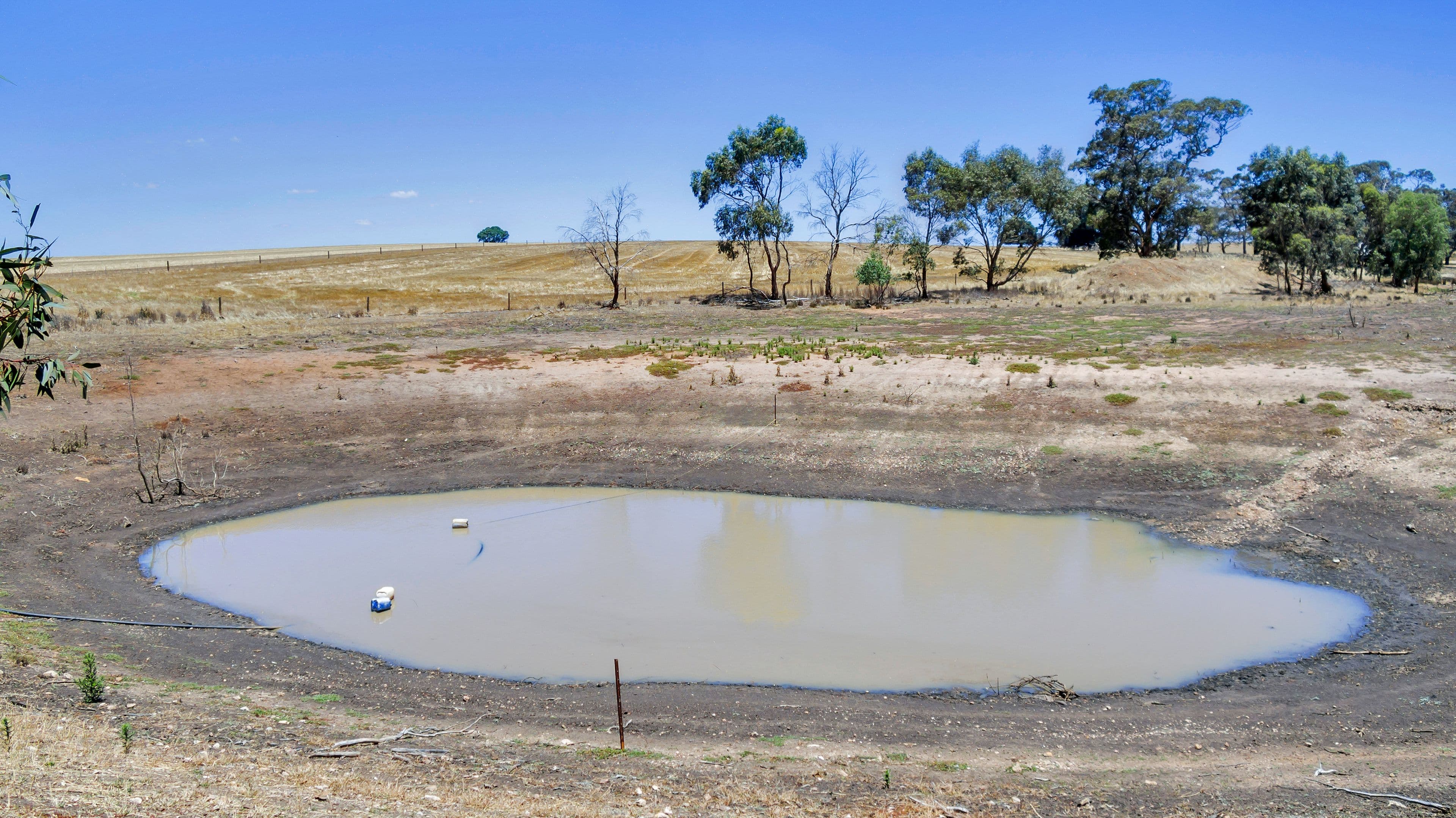 Lot 202 Avondale Road, Riverton SA 5412, Riverton - Thumbnail 8
