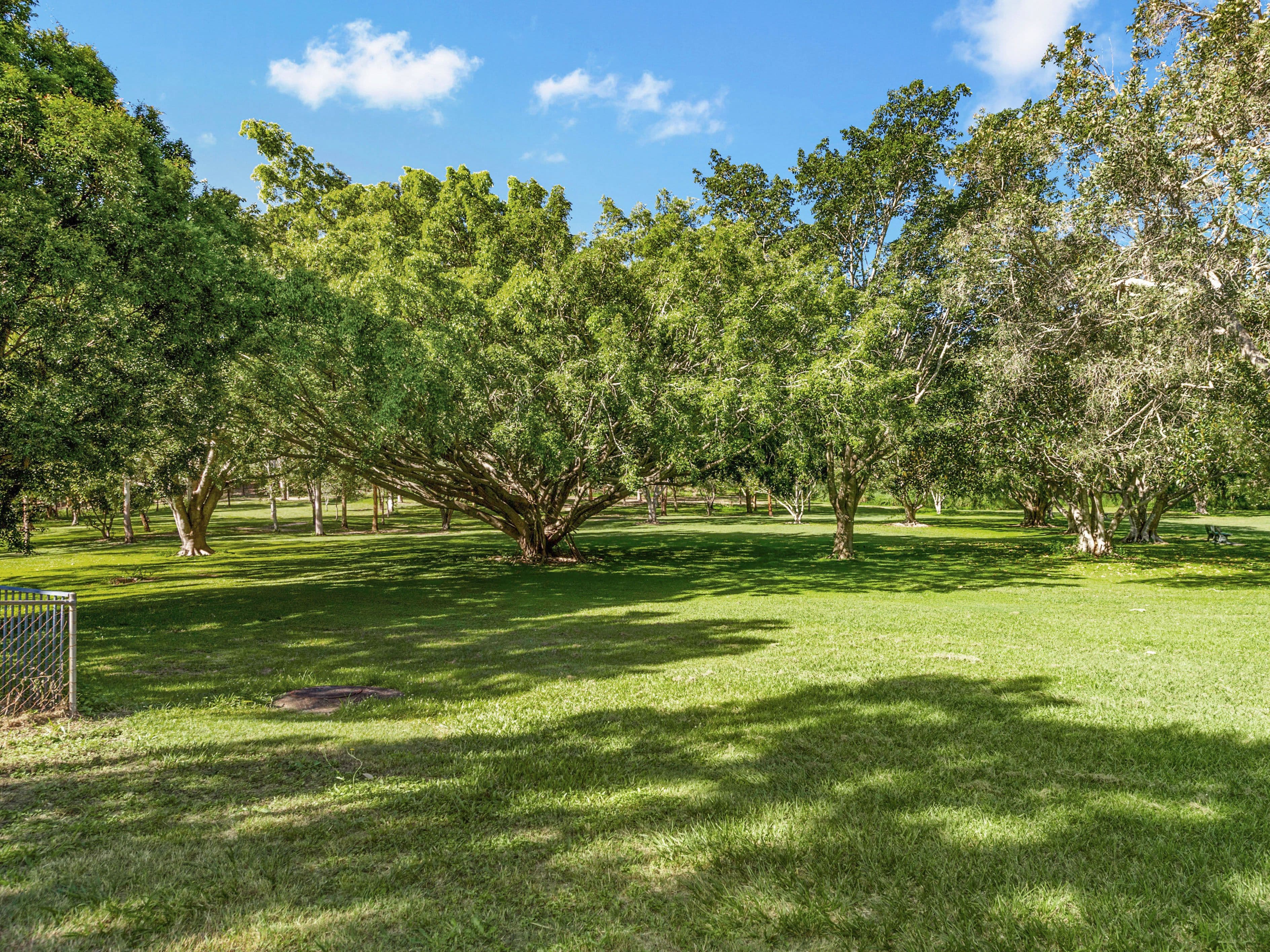 31 Chelford Street, Alderley QLD 4051, Alderley - Thumbnail 4