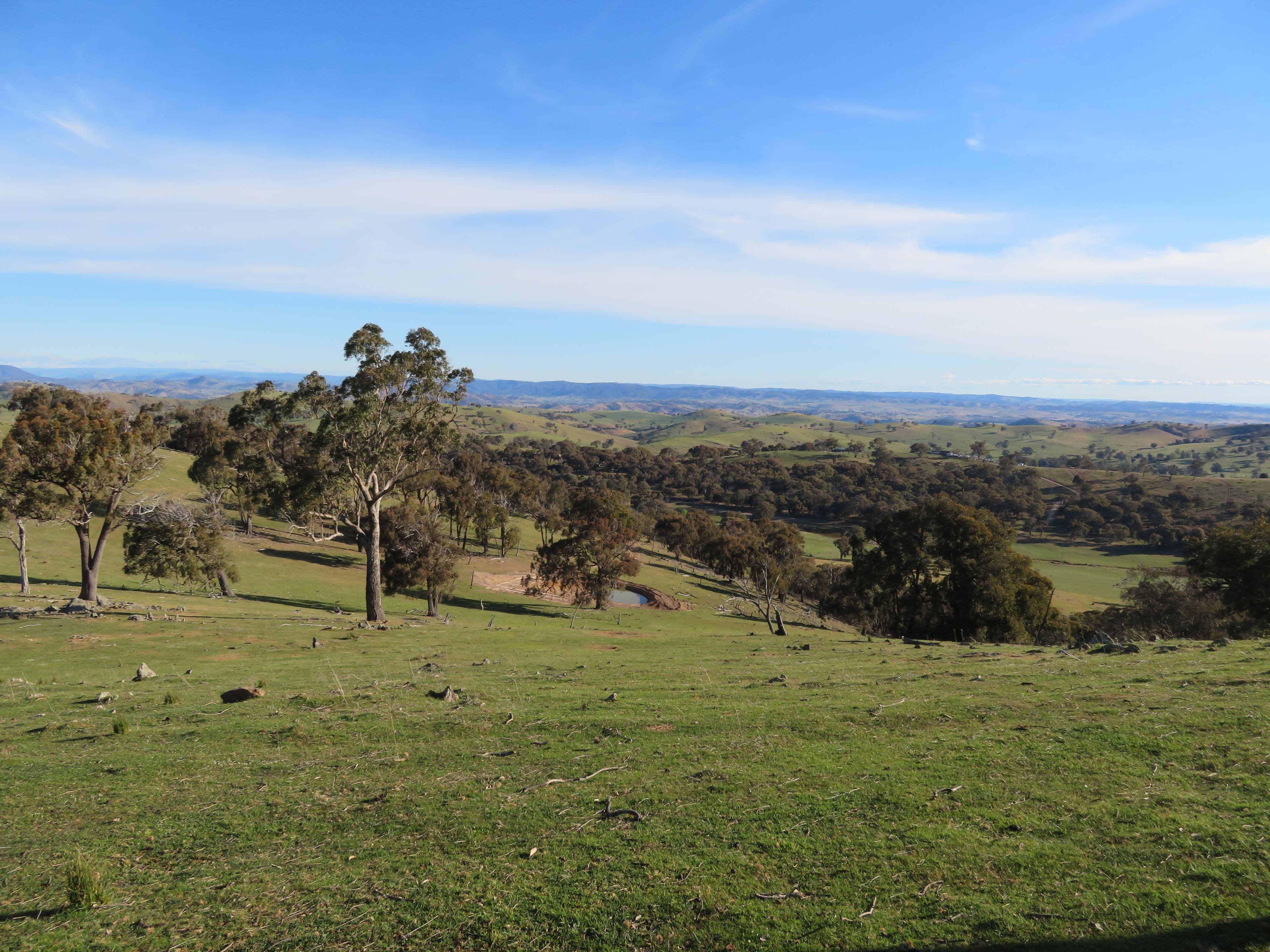 404 Reno Road, Gundagai NSW 2722, Gundagai - Thumbnail 3
