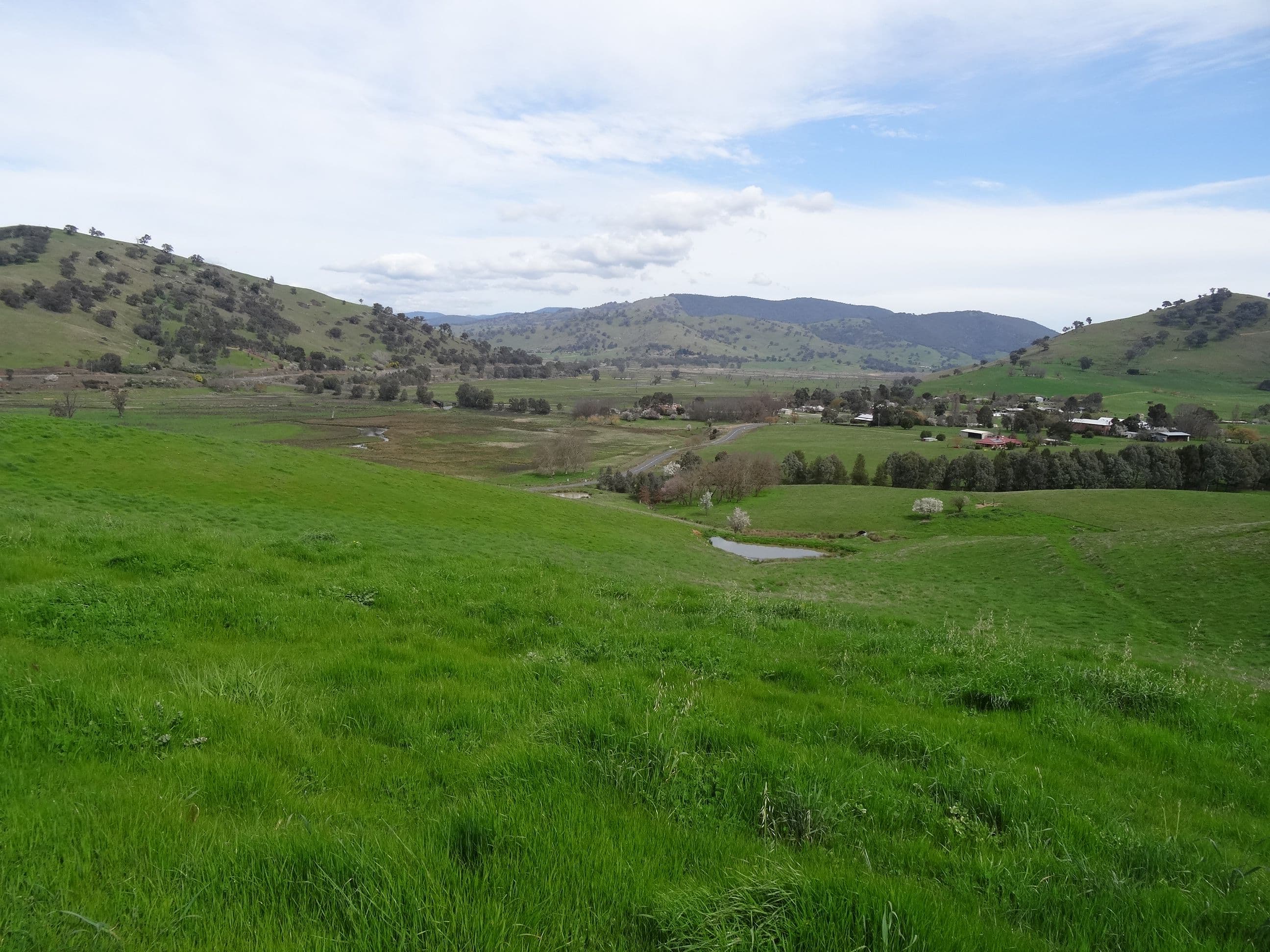 1916 Georges Creek Road, Tallangatta VIC 3700, Tallangatta - Thumbnail 8