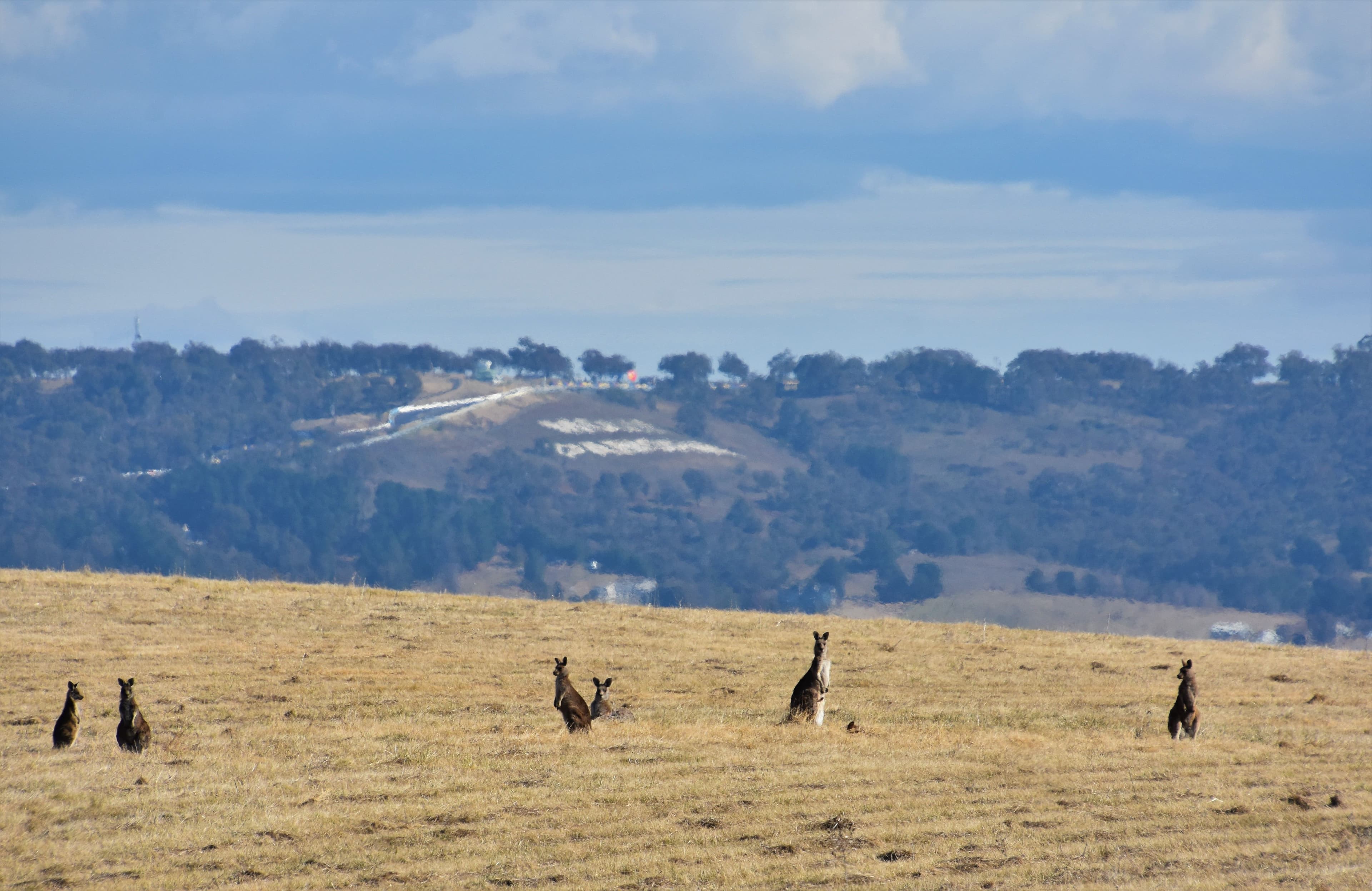 3880 O'Connell Road, Kelso NSW 2795, Kelso - Thumbnail 4