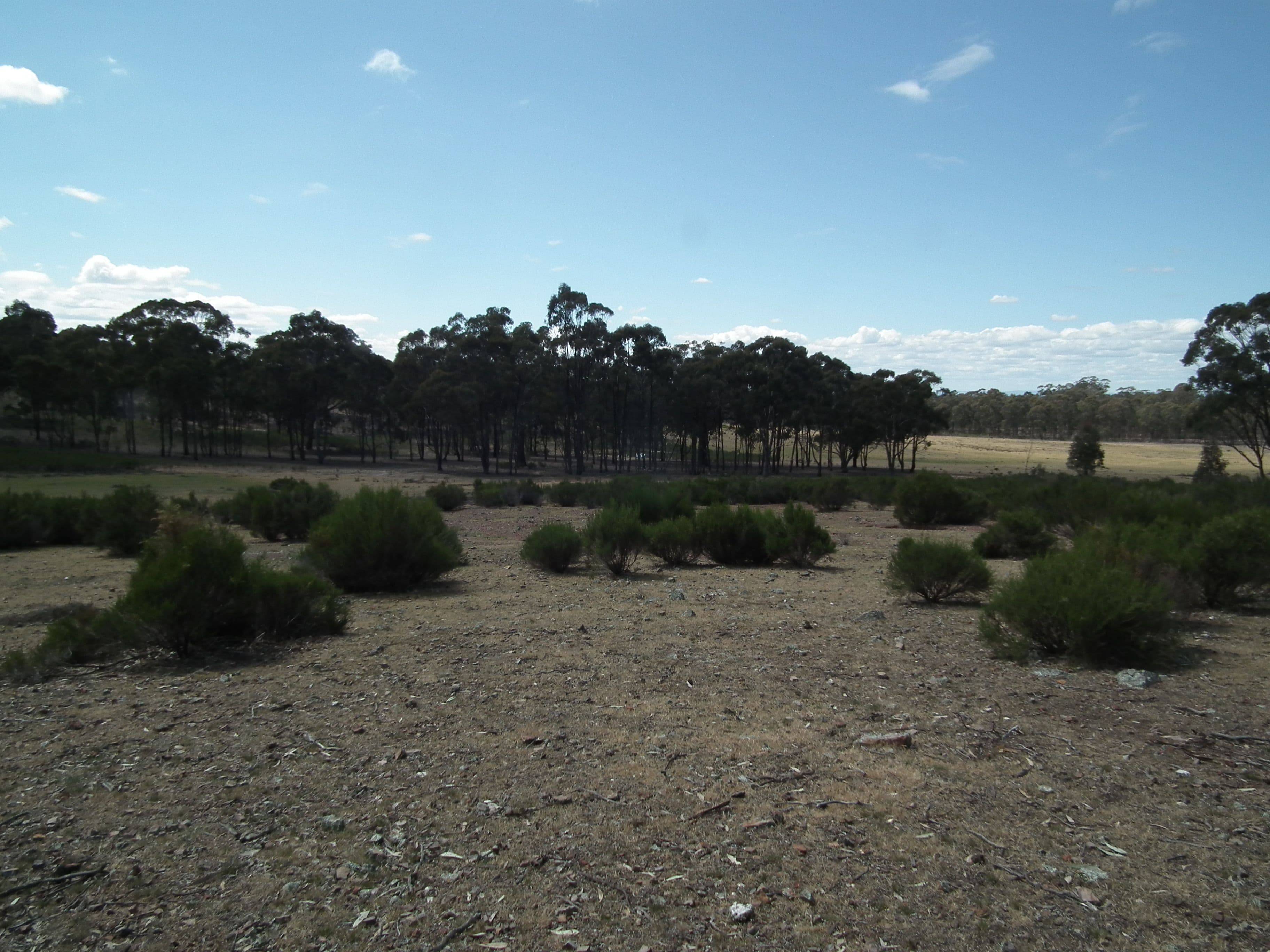 CA 20 and 21 Delaney Road, Nagambie VIC 3608, Nagambie - Thumbnail 5