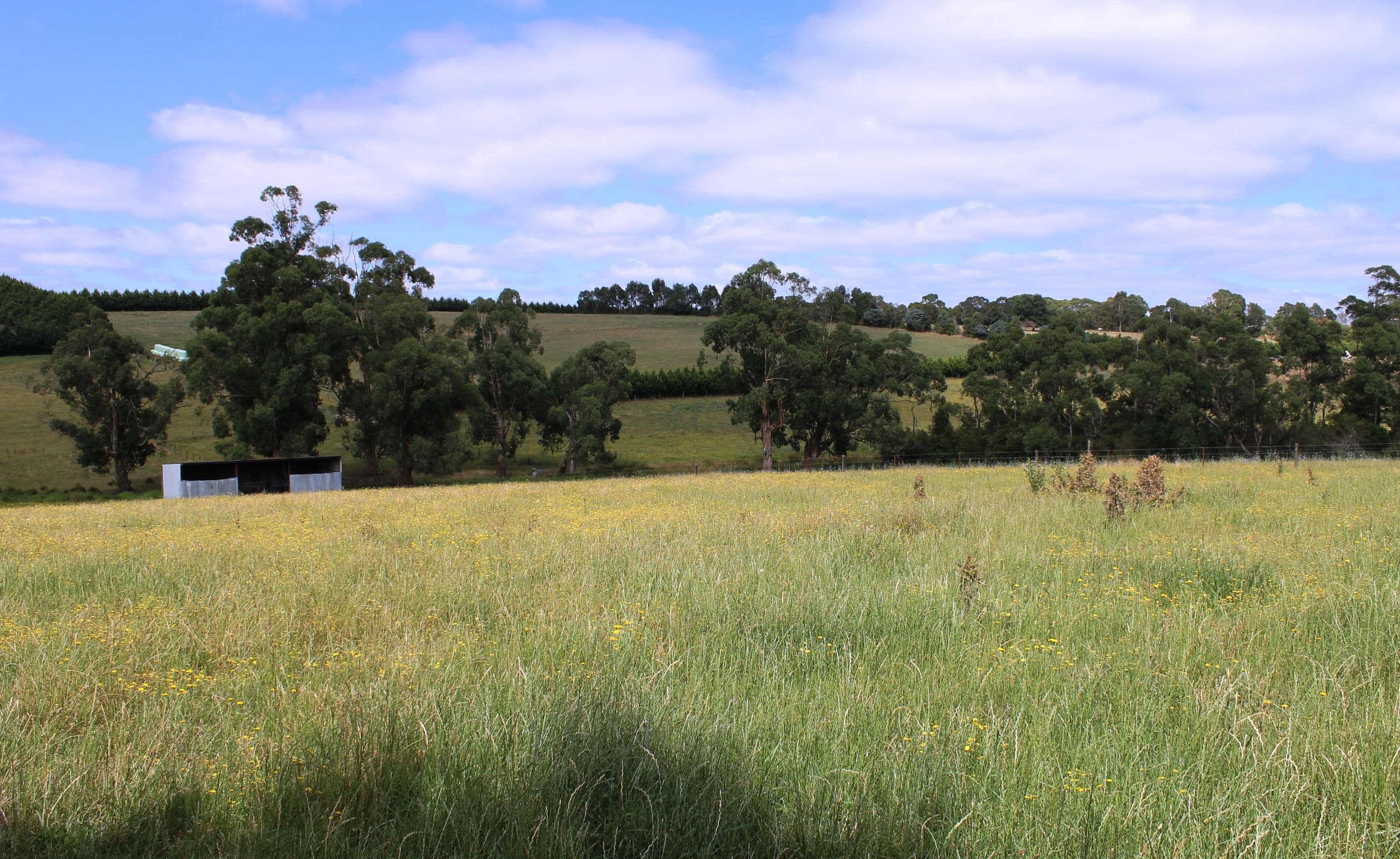 Drouin VIC 3818, Drouin - Thumbnail 2