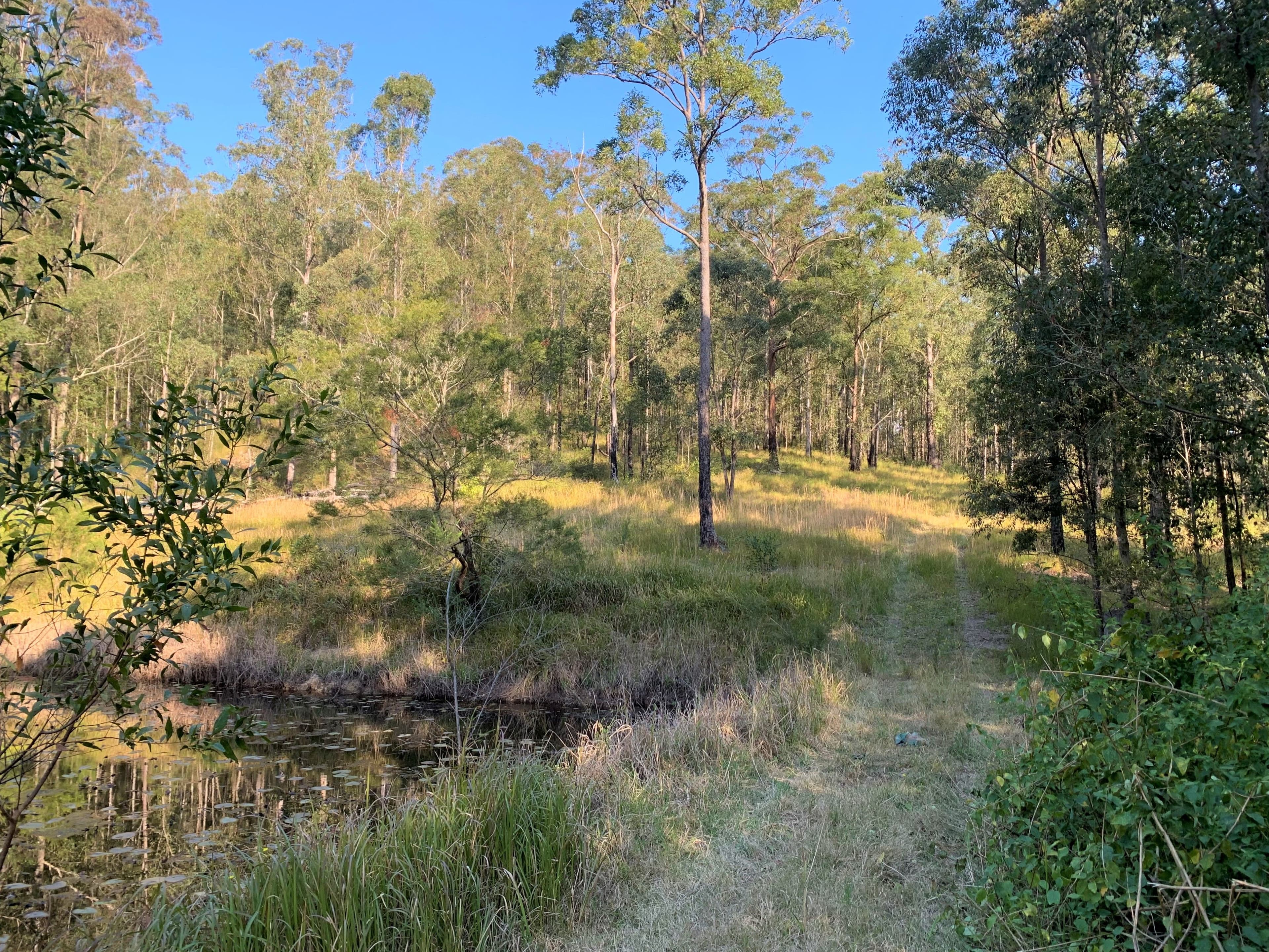 Lot 51 Upper Myall Road, Upper Myall NSW 2423, Upper Myall - Thumbnail 4