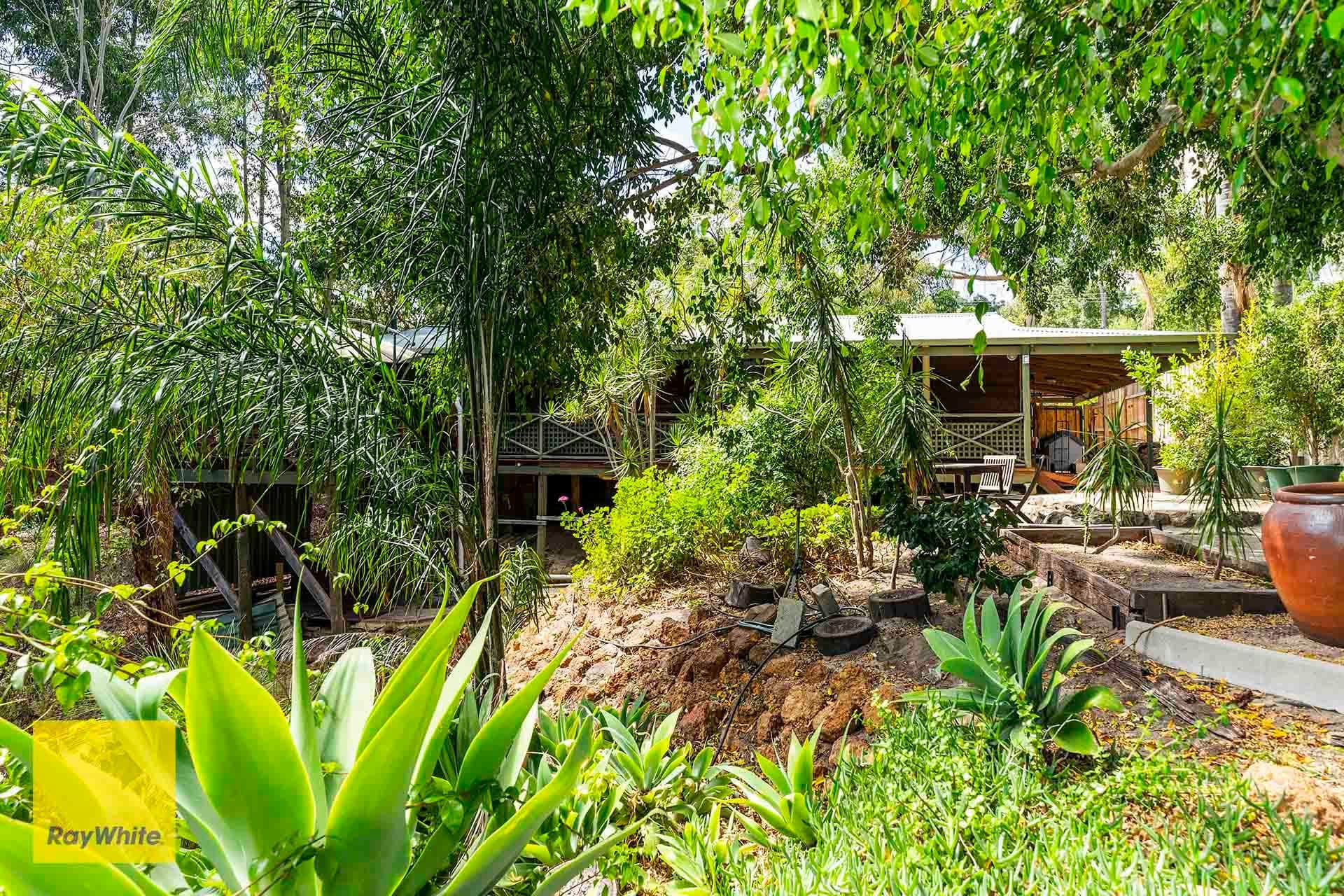 25 Watsonia Road, Gooseberry Hill WA 6076, Gooseberry Hill - Thumbnail 4