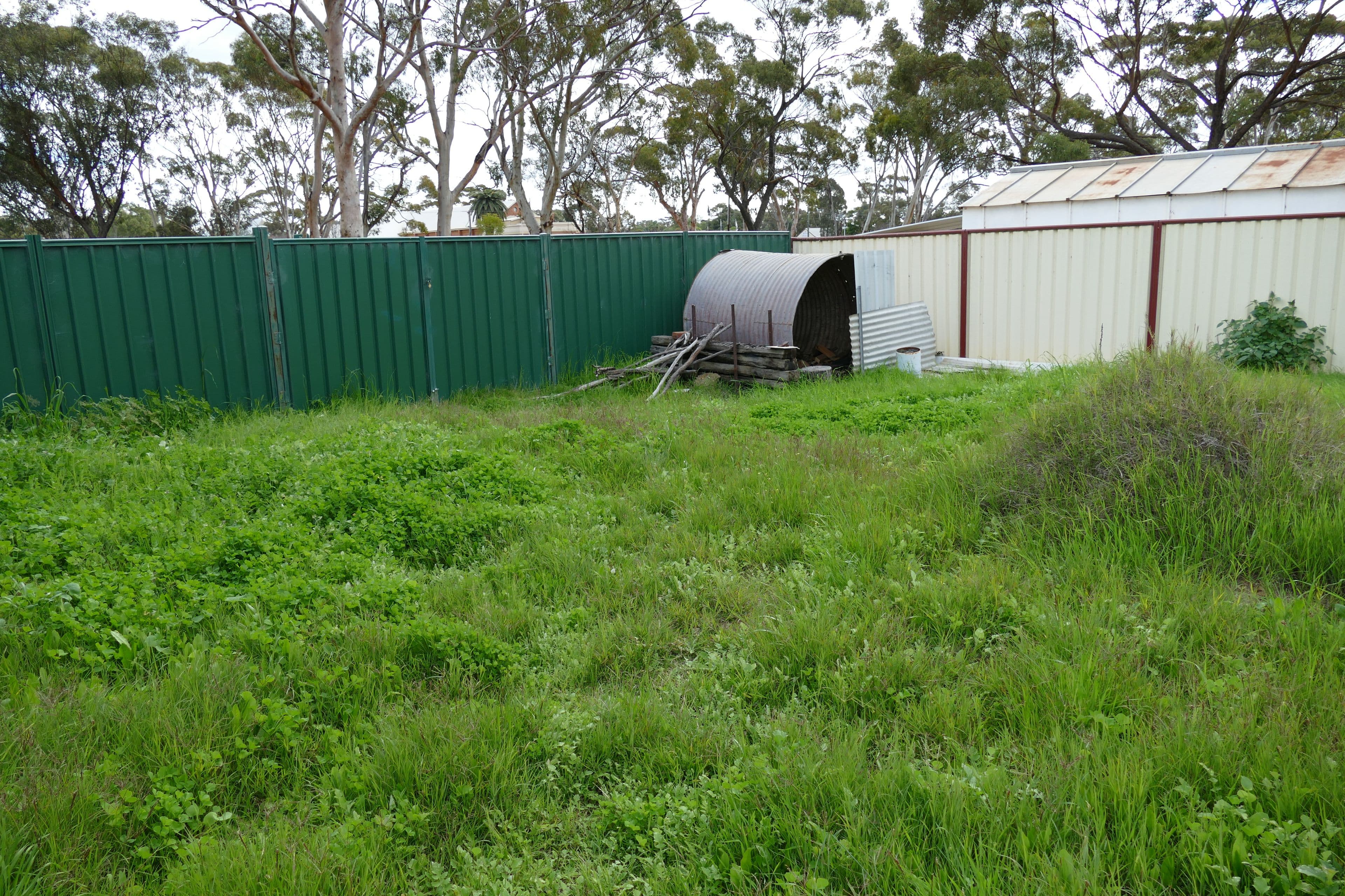 82 Gardiner Street, Moora WA 6510, Moora - Thumbnail 5