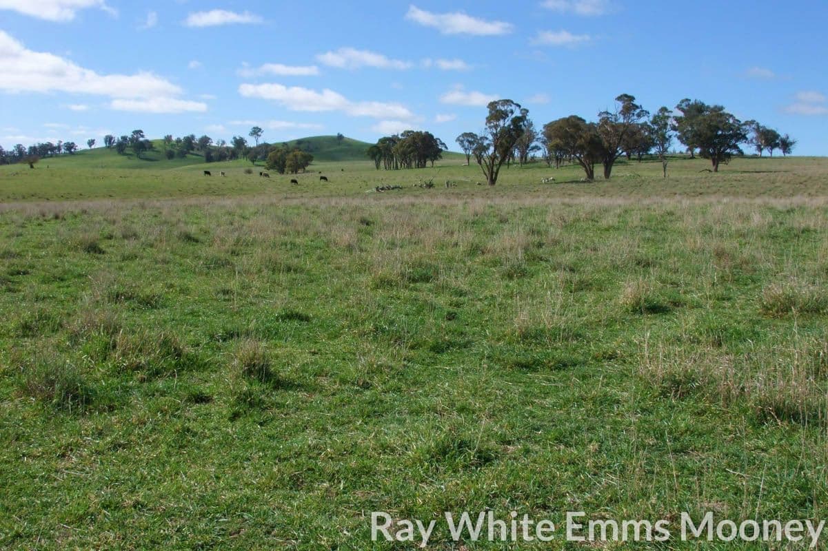 Blayney NSW 2799, Blayney - Image 1