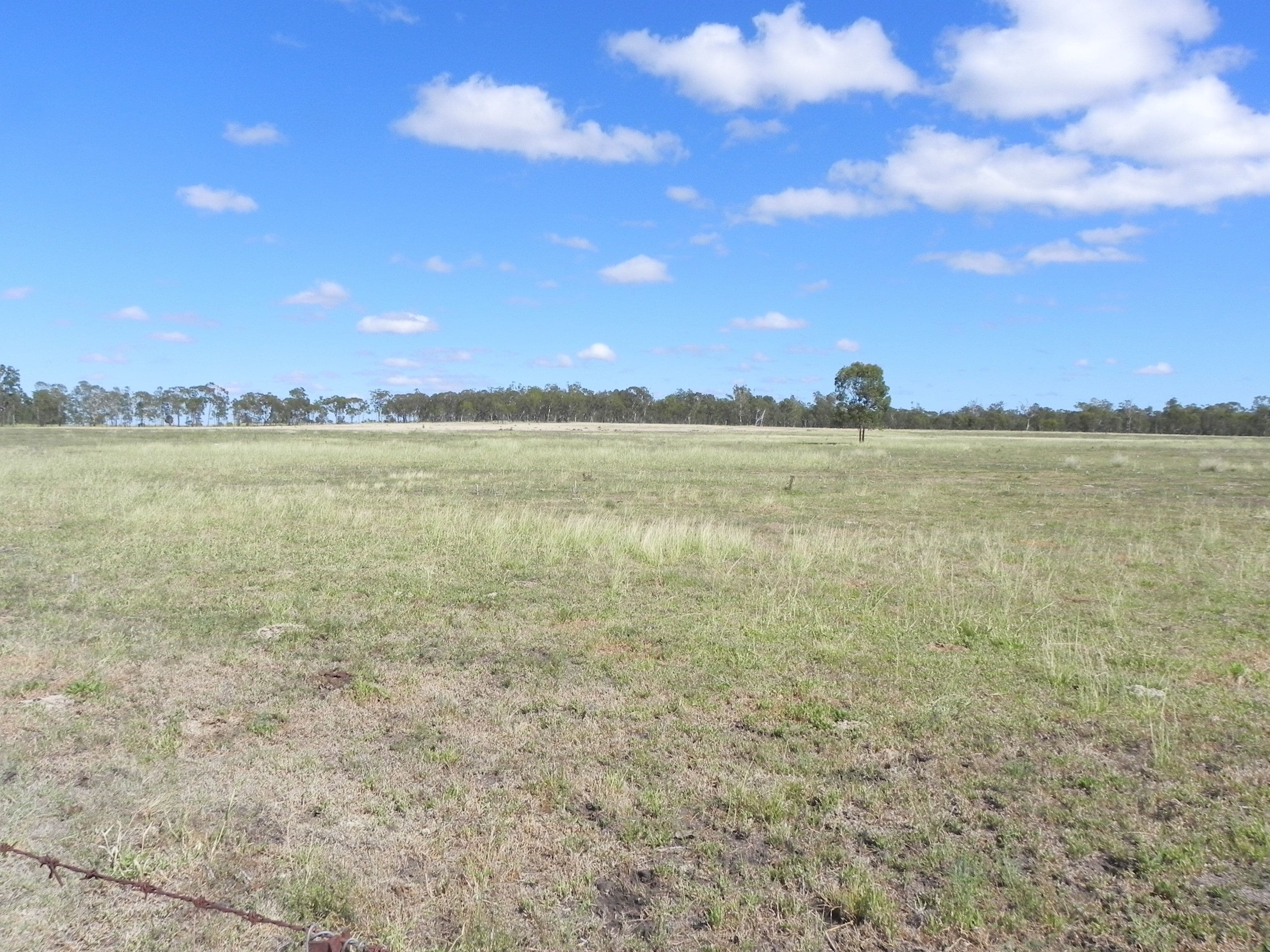 1663 Millmerran Leyburn Road, Tummaville QLD 4352, Tummaville - Thumbnail 4