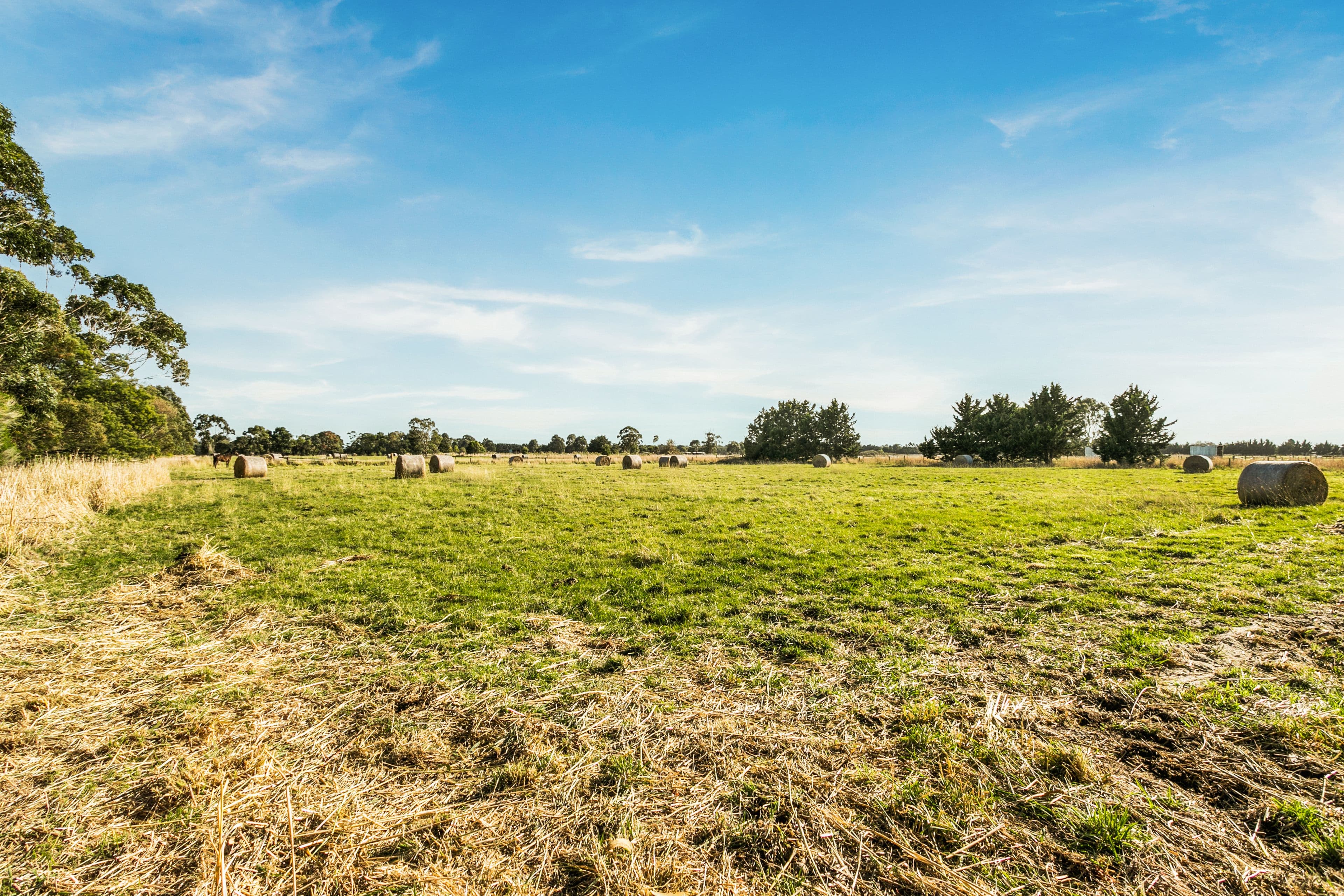145 School Road, Bayles VIC 3981, Bayles - Thumbnail 6