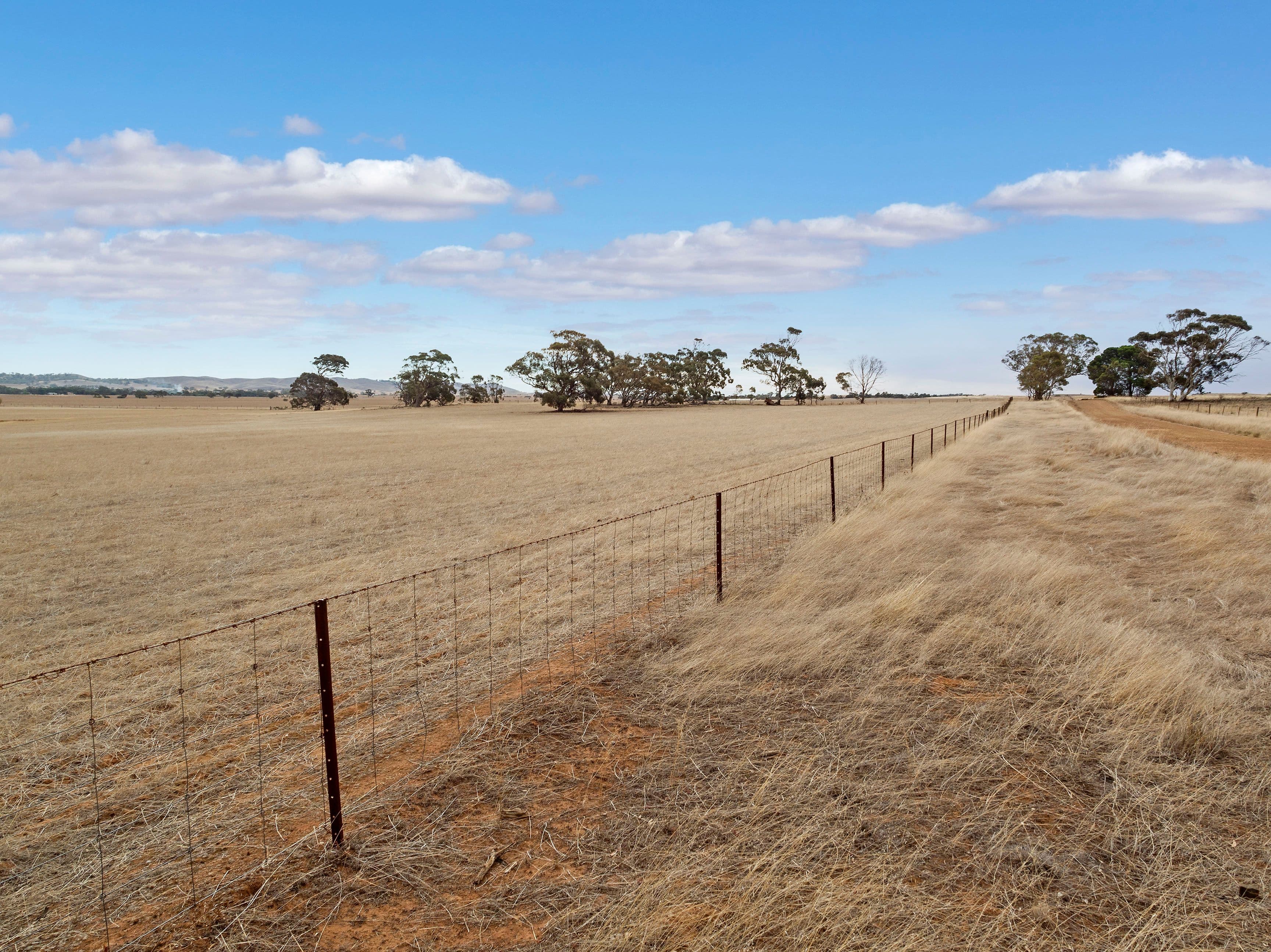 'Valley Farm' - 128 Valley Farm Road, Truro SA 5356, Truro - Thumbnail 4