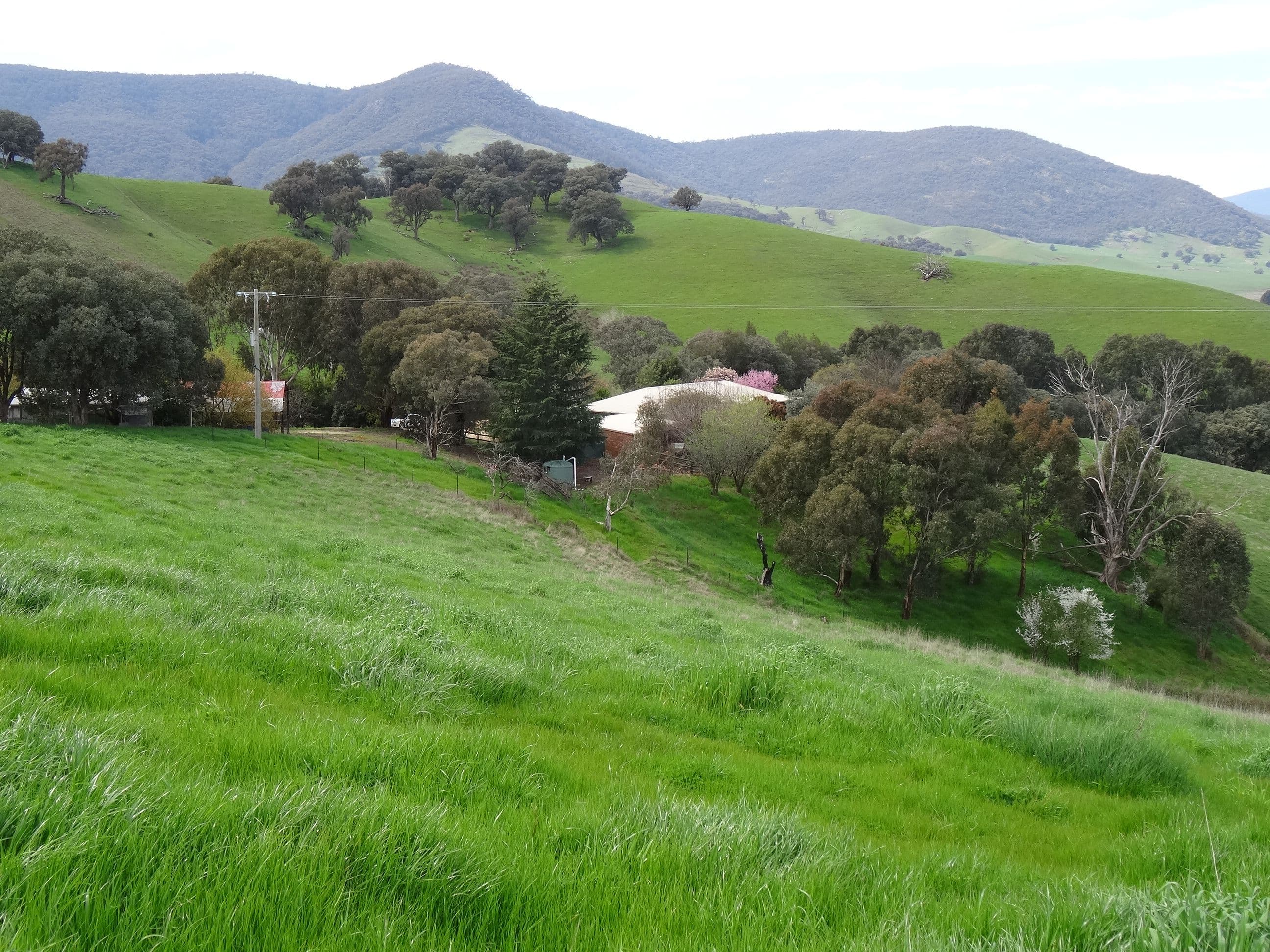 1916 Georges Creek Road, Tallangatta VIC 3700, Tallangatta - Thumbnail 6