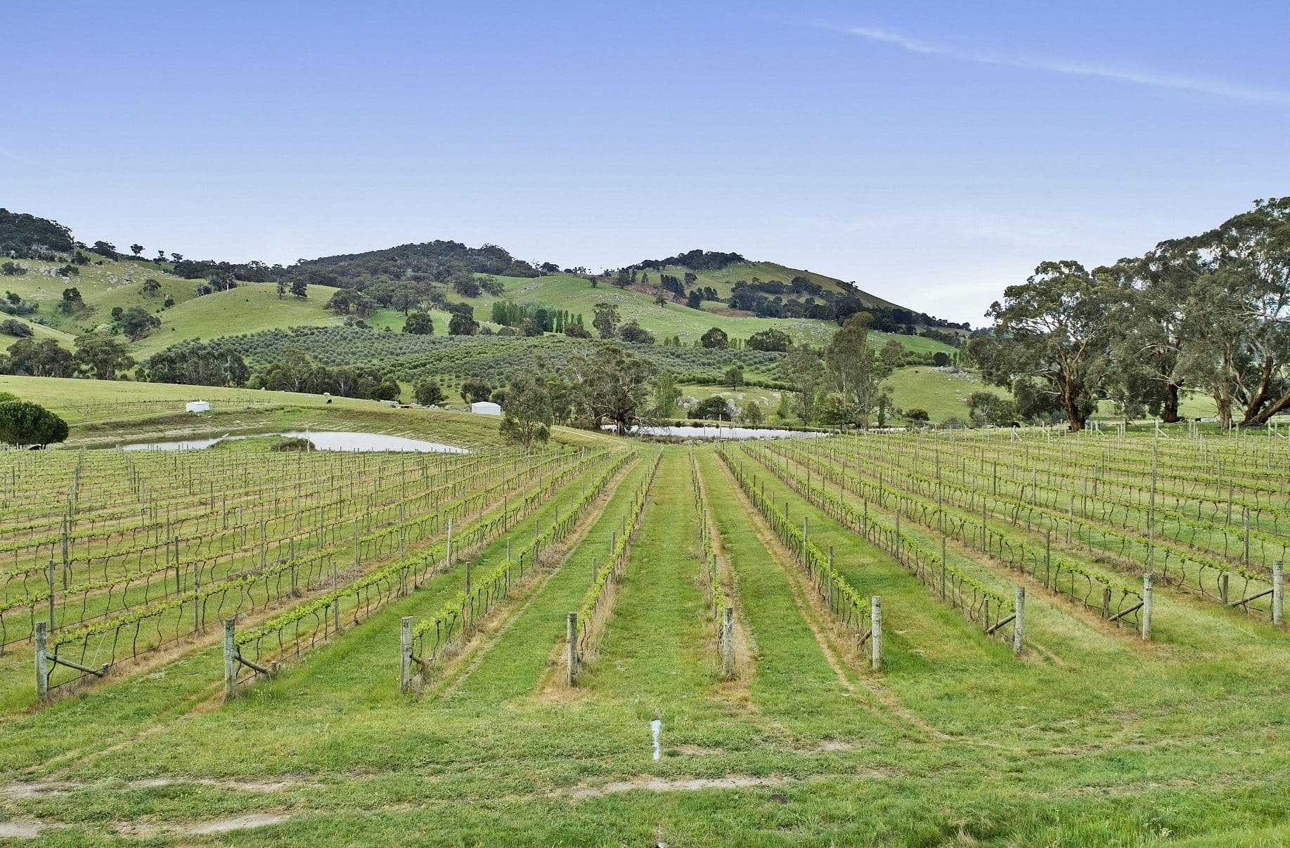 80 Tooborac-Baynton Road, Tooborac VIC 3522, Tooborac - Thumbnail 6