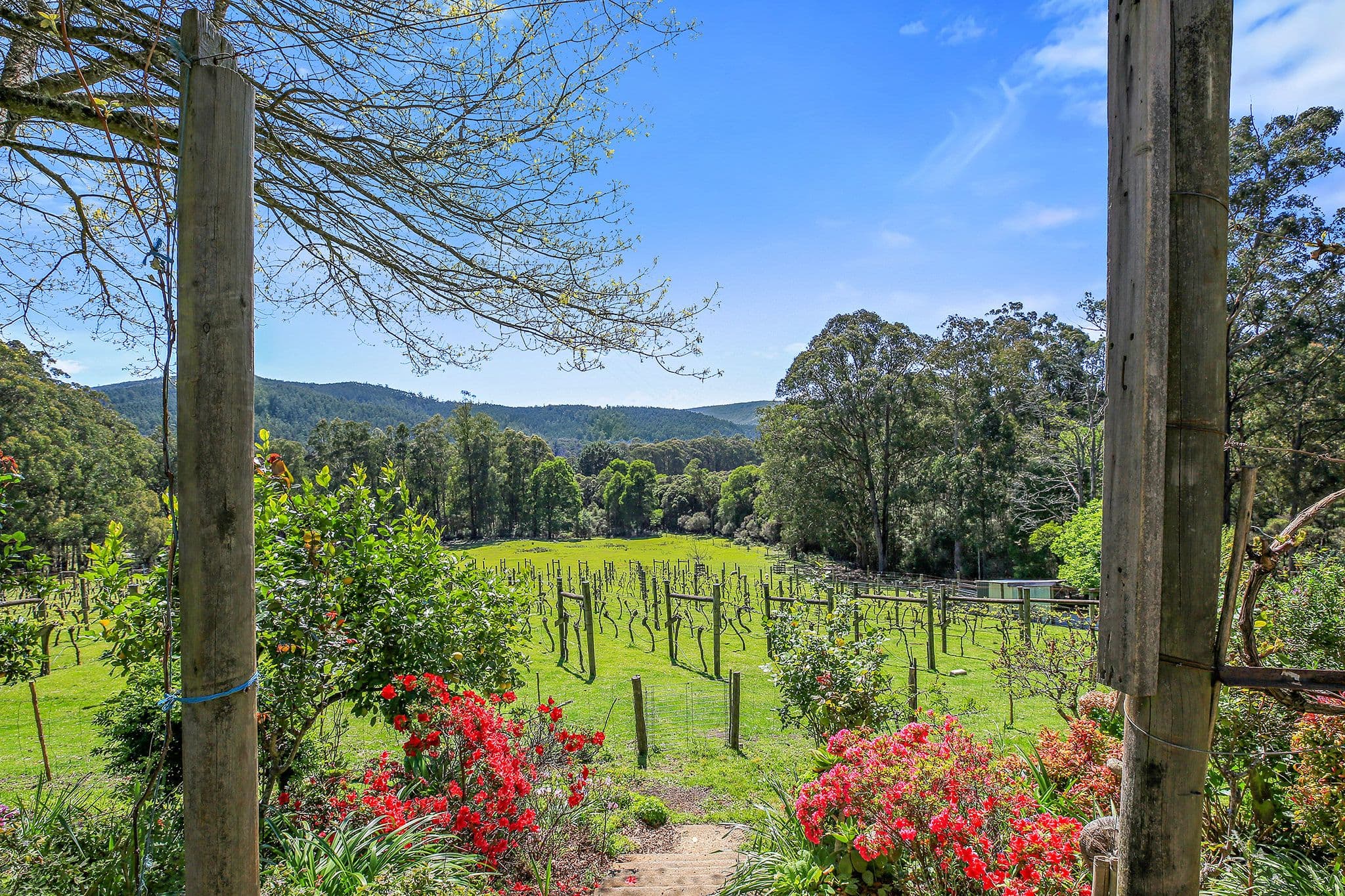 3424 Yarra Junction - Noojee Road, Piedmont VIC 3833, Piedmont - Thumbnail 4