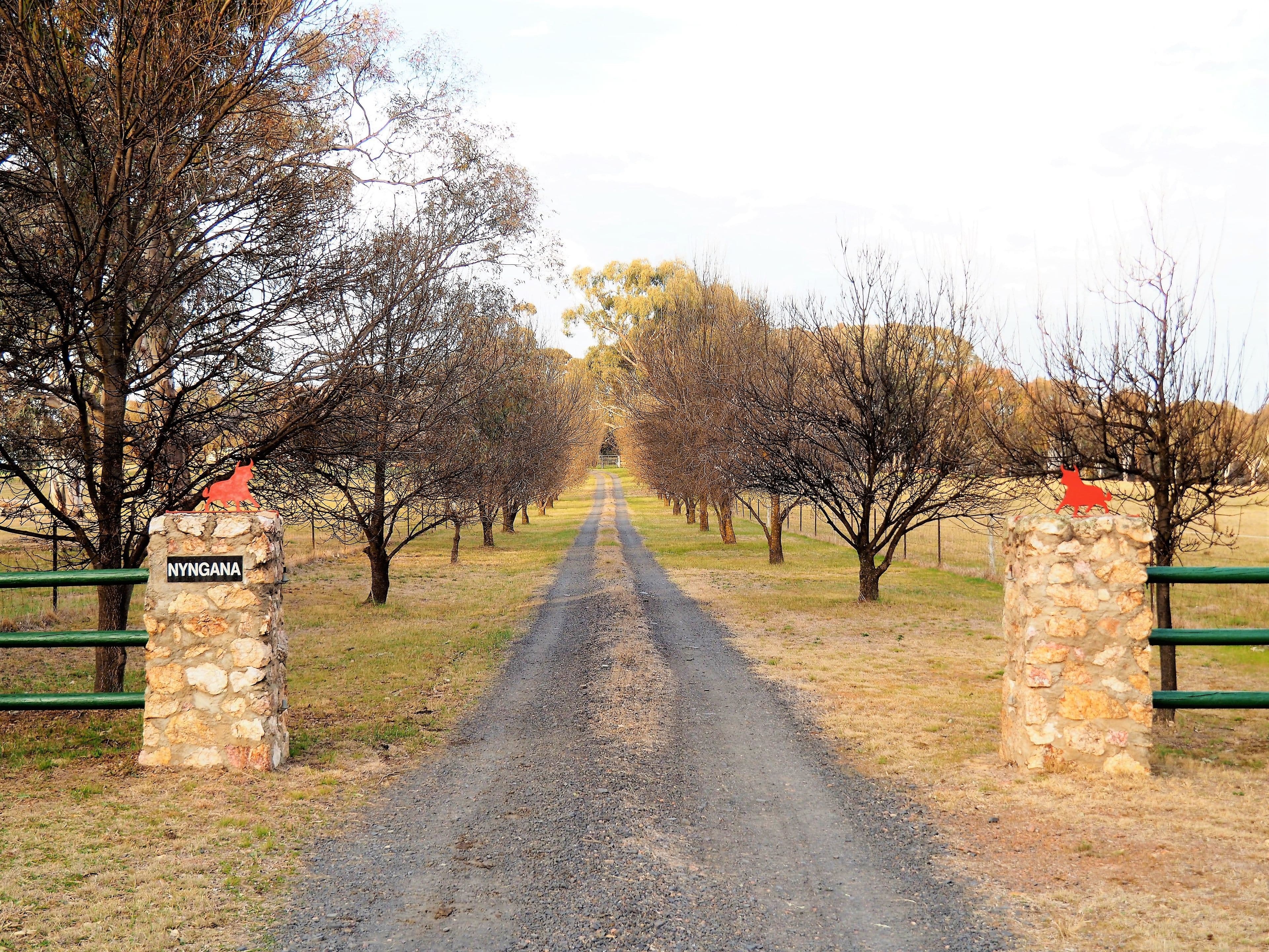Mandurama NSW 2792, Mandurama - Image 1