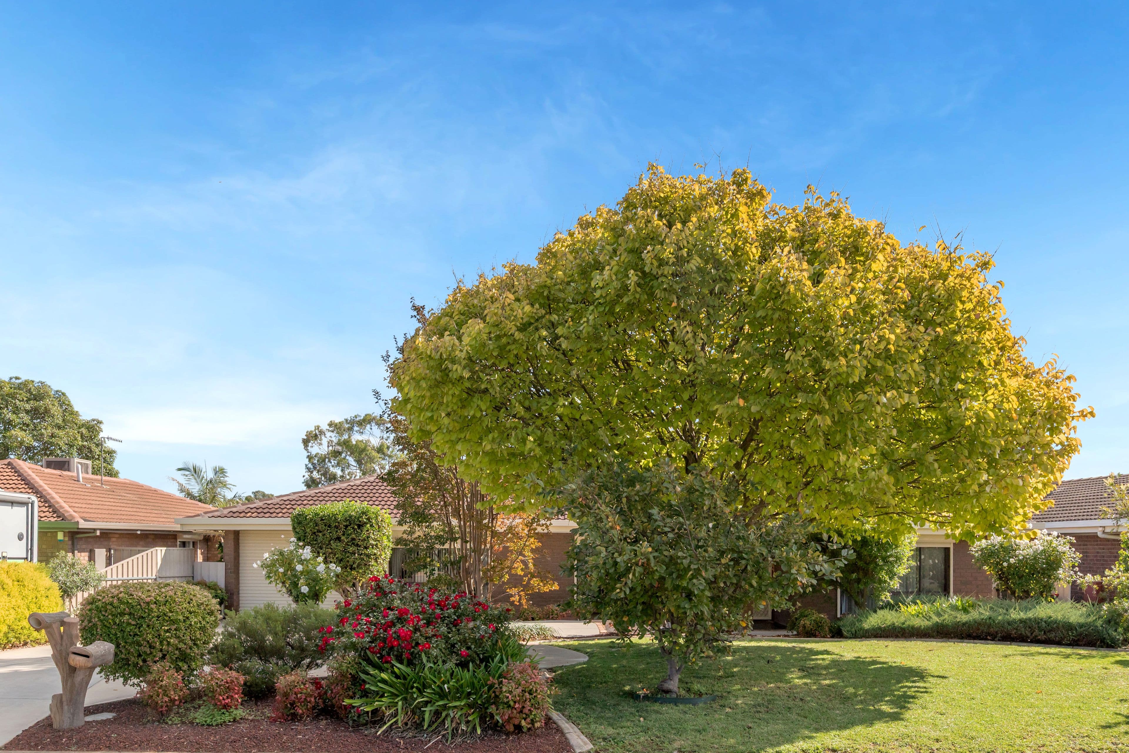 5 Birch Grove, Craigmore SA 5114, Craigmore - Thumbnail 4