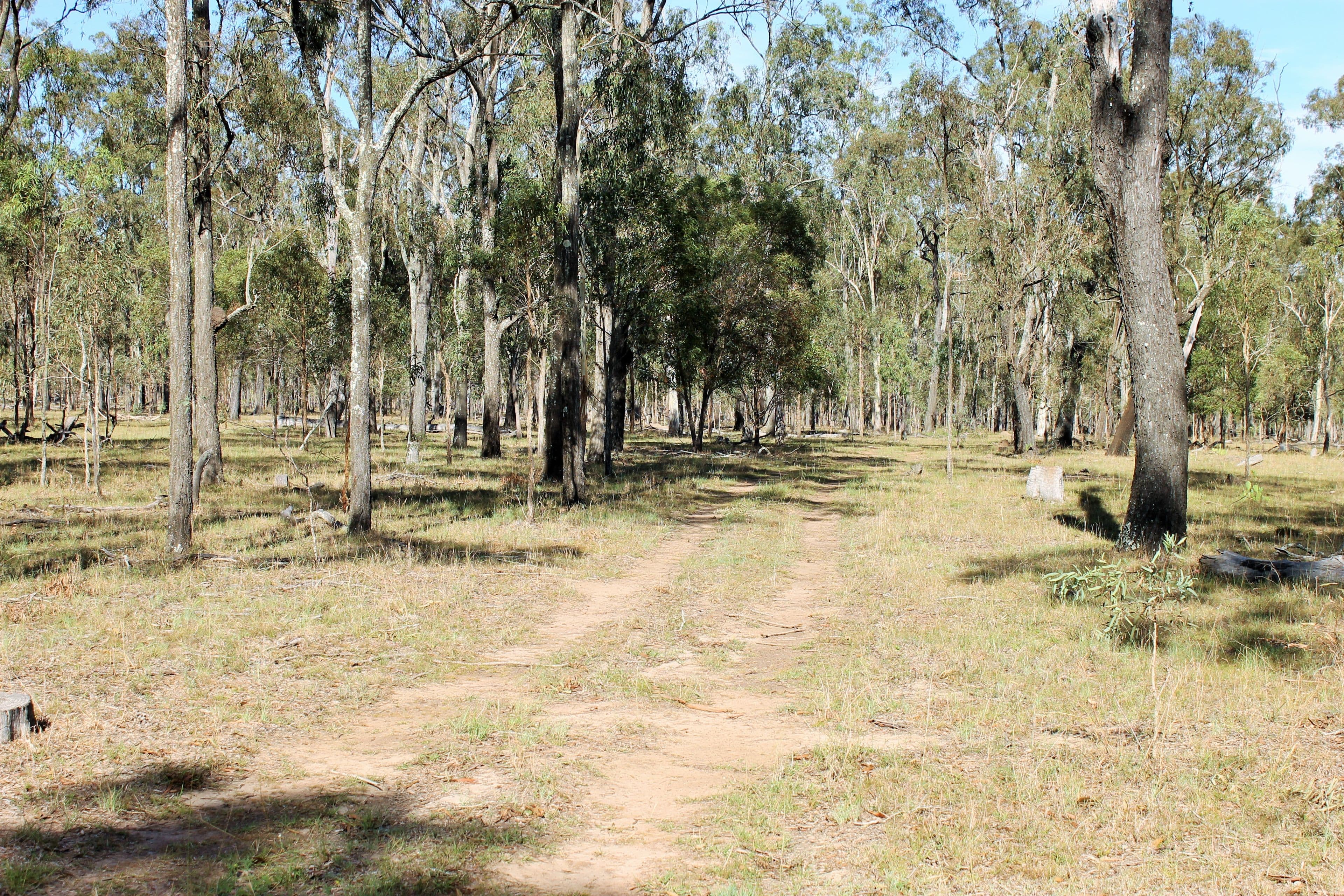 548-616 Goebels Road, Mount Forbes QLD 4340, Mount Forbes - Thumbnail 3