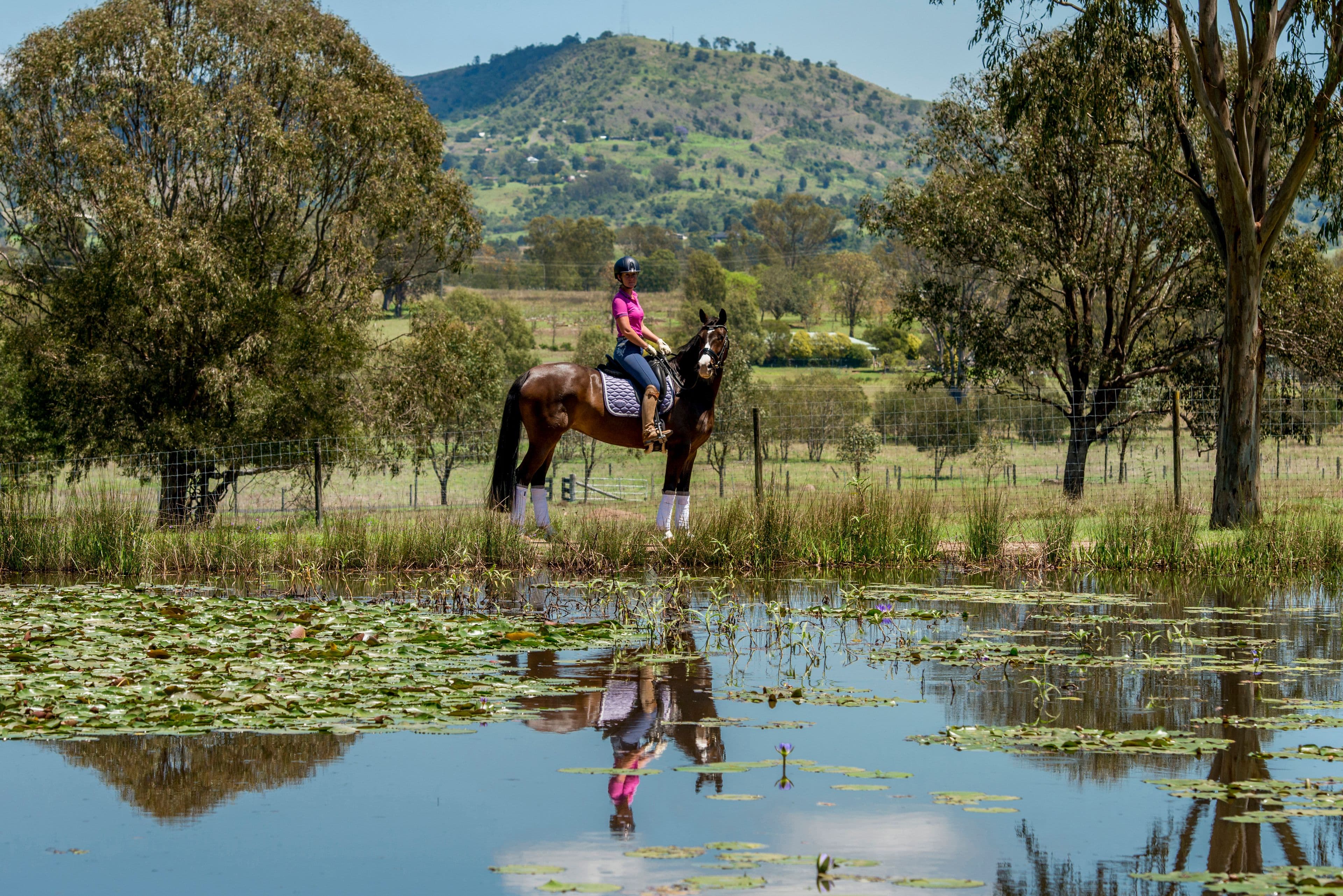 Glamorgan Vale QLD 4306, Glamorgan Vale - Thumbnail 2