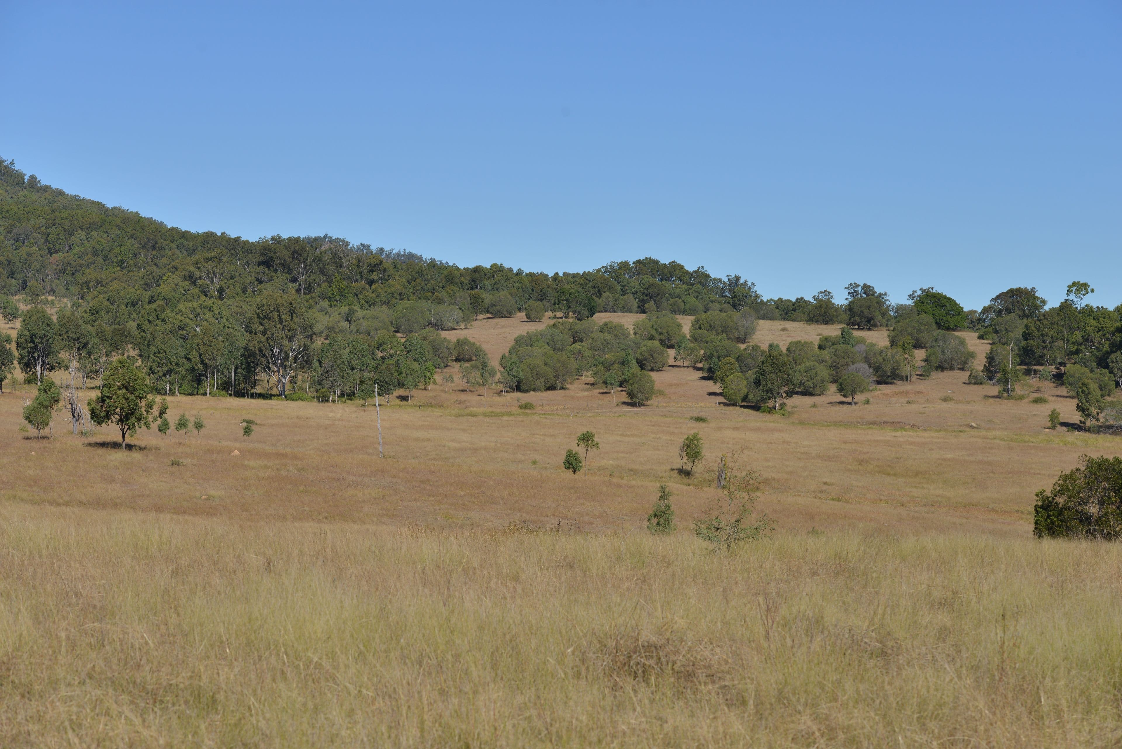 3680 Beaudesert Nerang Road, Tabragalba QLD 4285, Tabragalba - Thumbnail 6