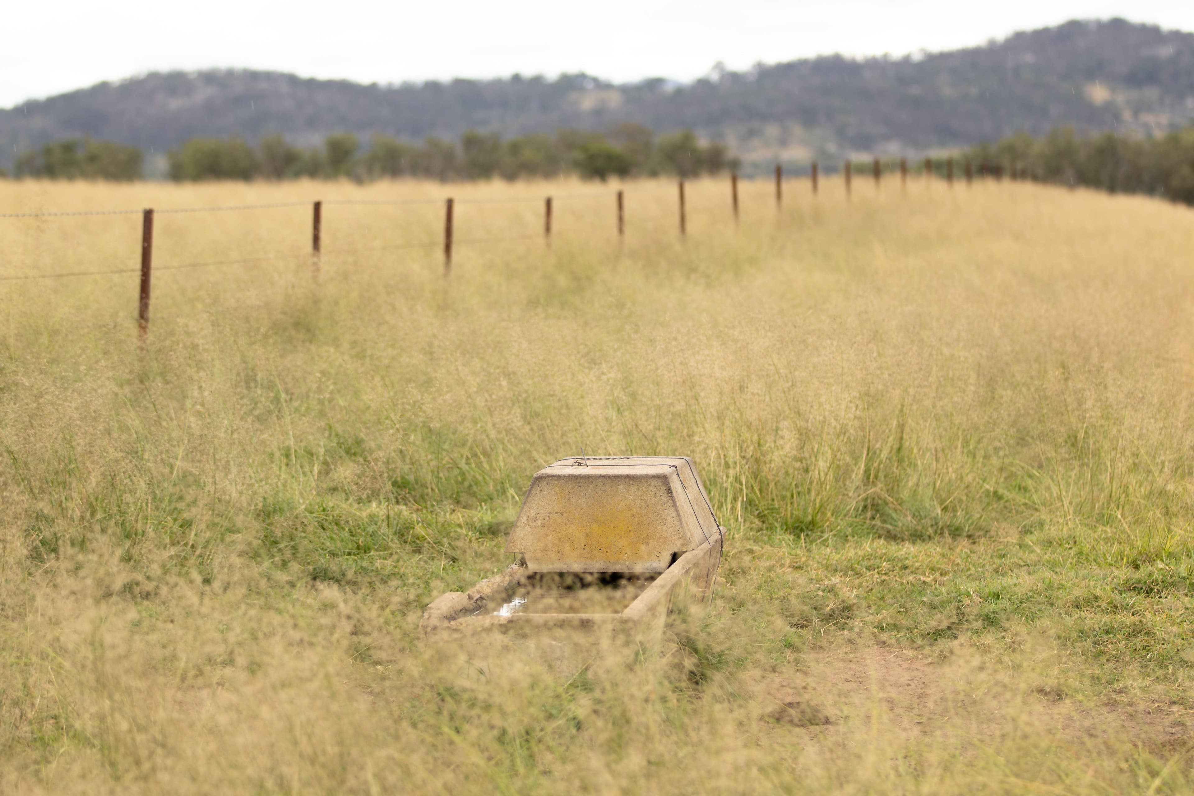 68 Ross Road, Tenterfield NSW 2372, Tenterfield - Thumbnail 8