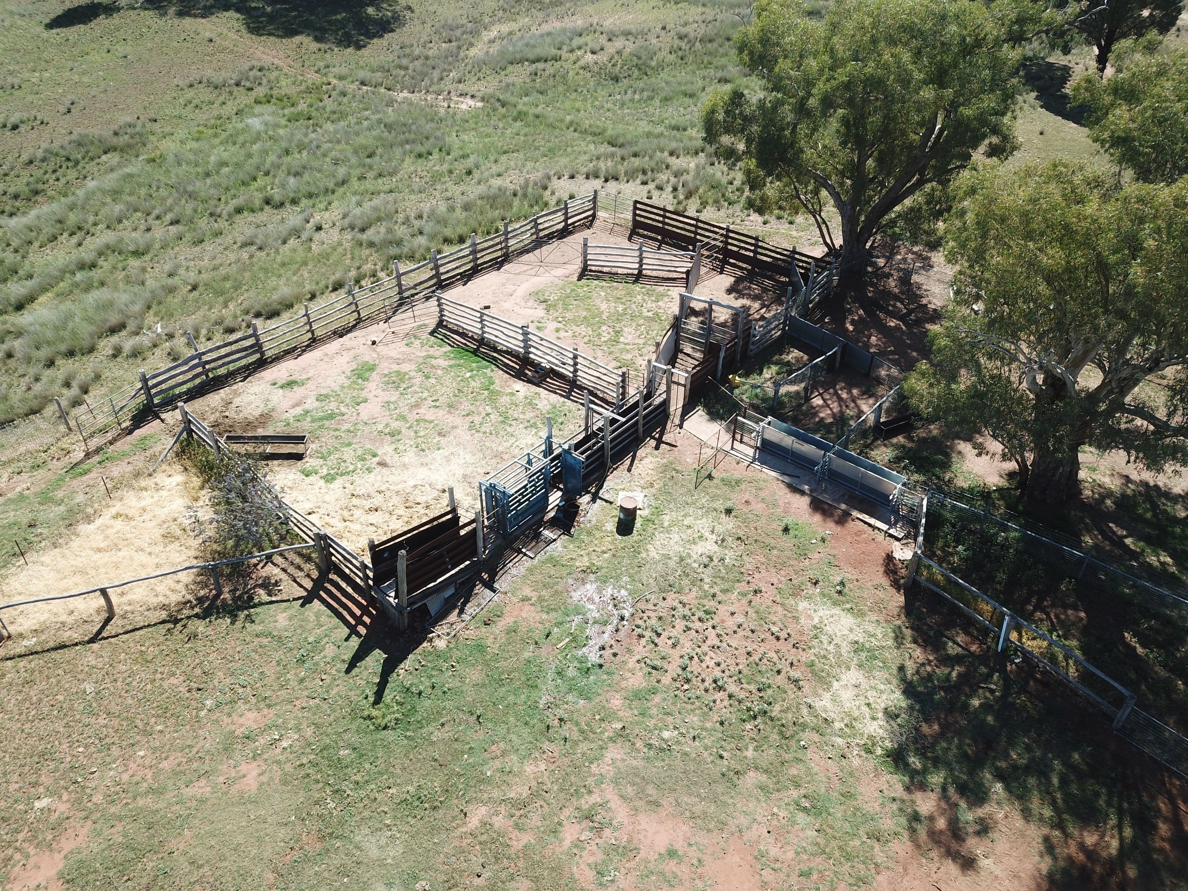 'Borambil' 912 Tooraweenah Road, MENDOORAN NSW 2842, Mendooran - Thumbnail 7