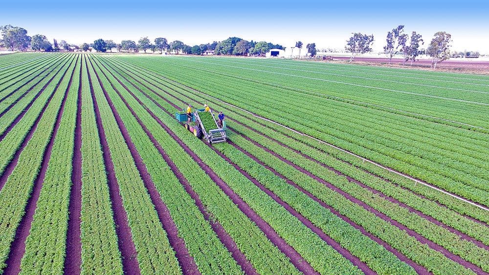 Biloela QLD 4715, Biloela - Image 1