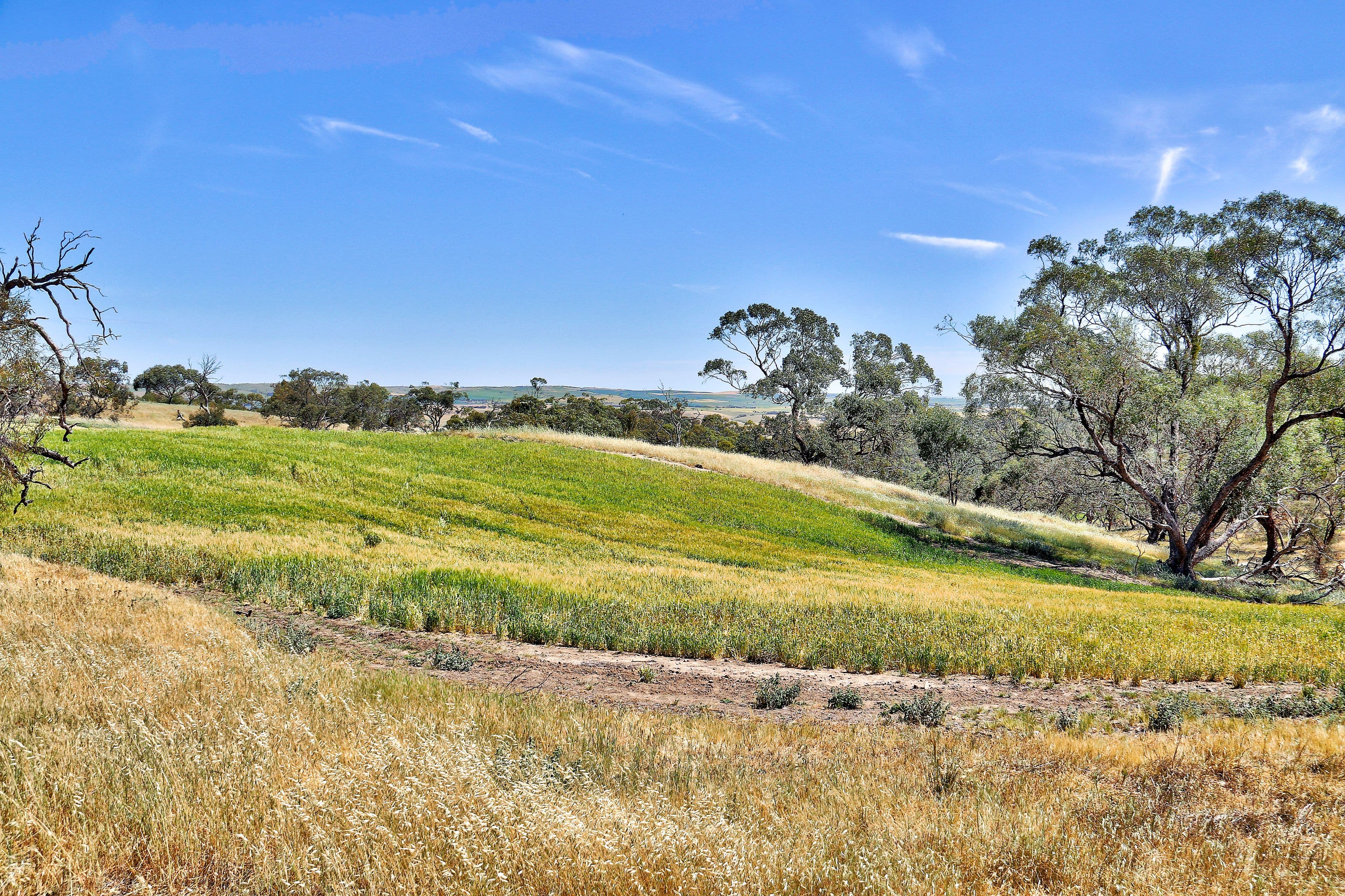 "Twin Valleys" Yacka - Andrews Road, YACKA SA 5470, Yacka - Thumbnail 3