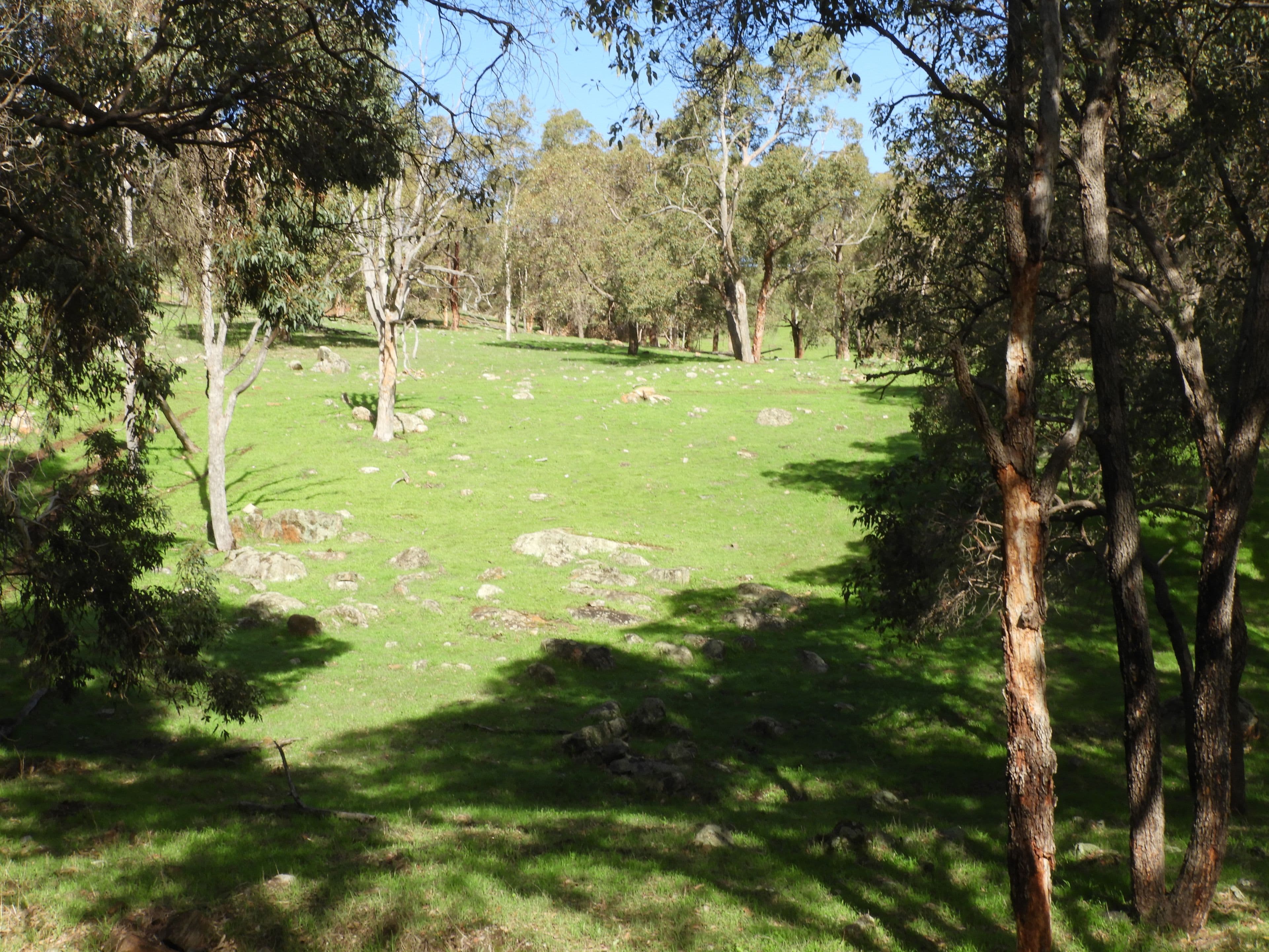 712 Davis Road, Chittering WA 6084, Chittering - Thumbnail 2