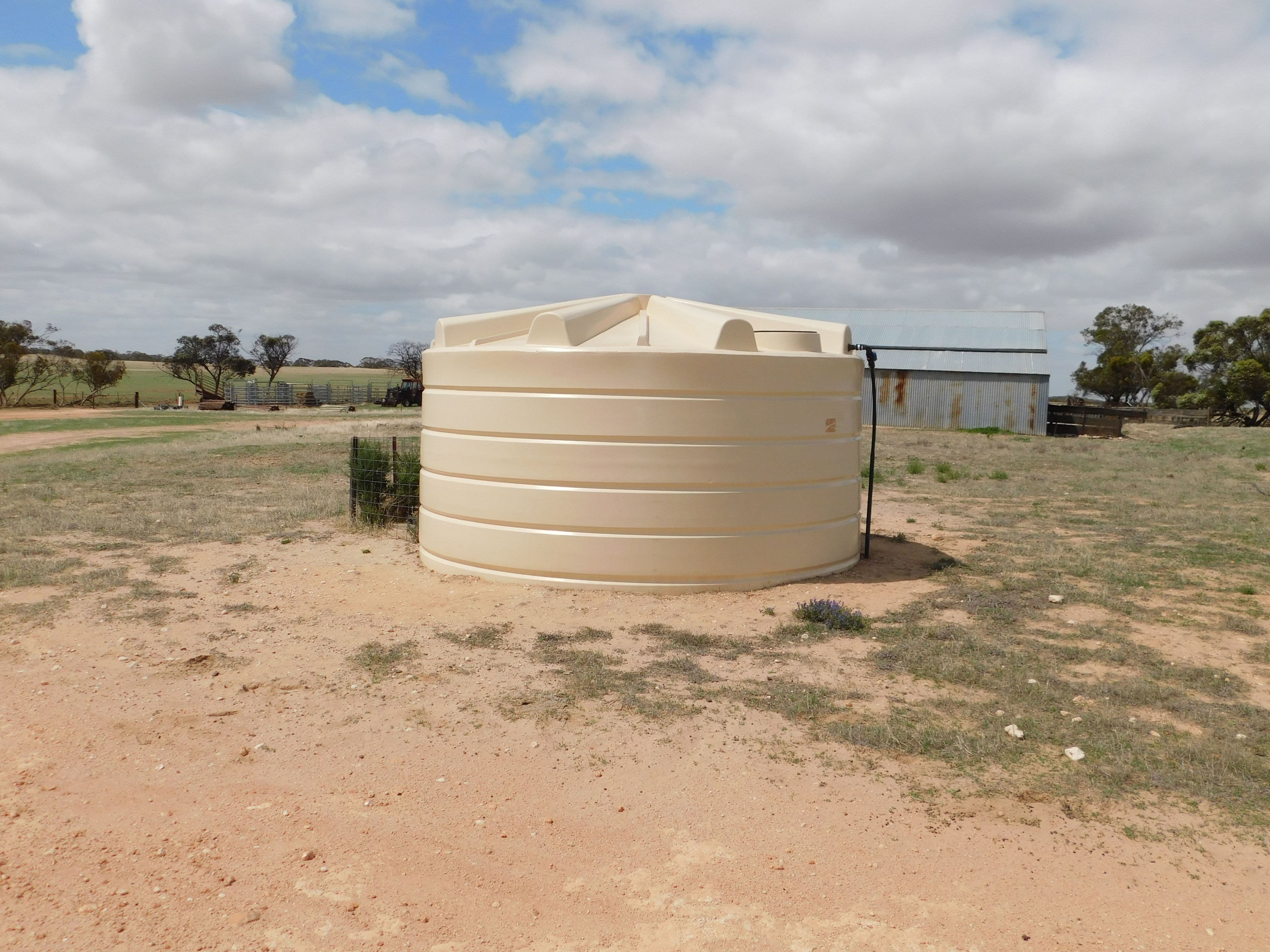 603 DAY Road, Lameroo SA 5302, Lameroo - Thumbnail 6