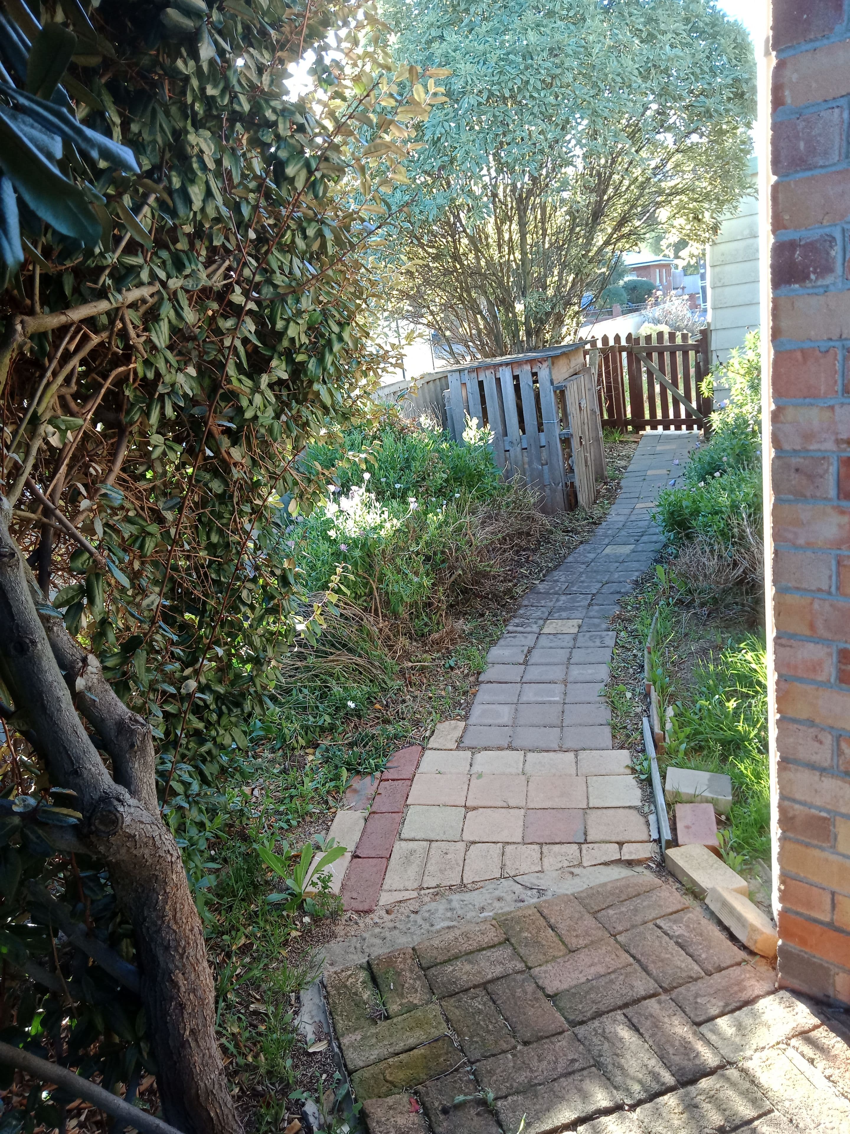 25 Henry Street, Tambellup WA 6320, Tambellup - Thumbnail 4