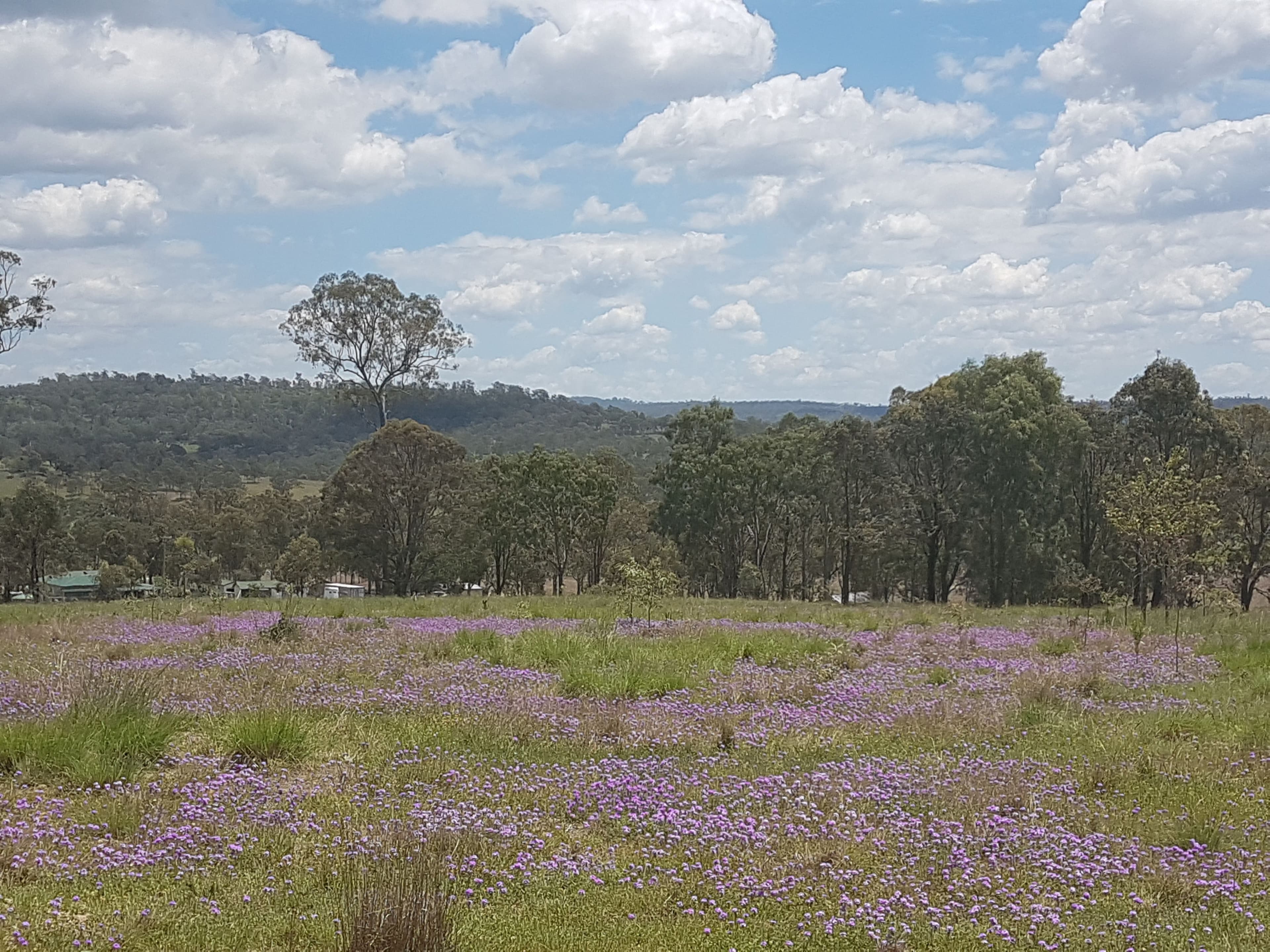 3303 New England Highway, Cooyar QLD 4402, Cooyar - Thumbnail 3