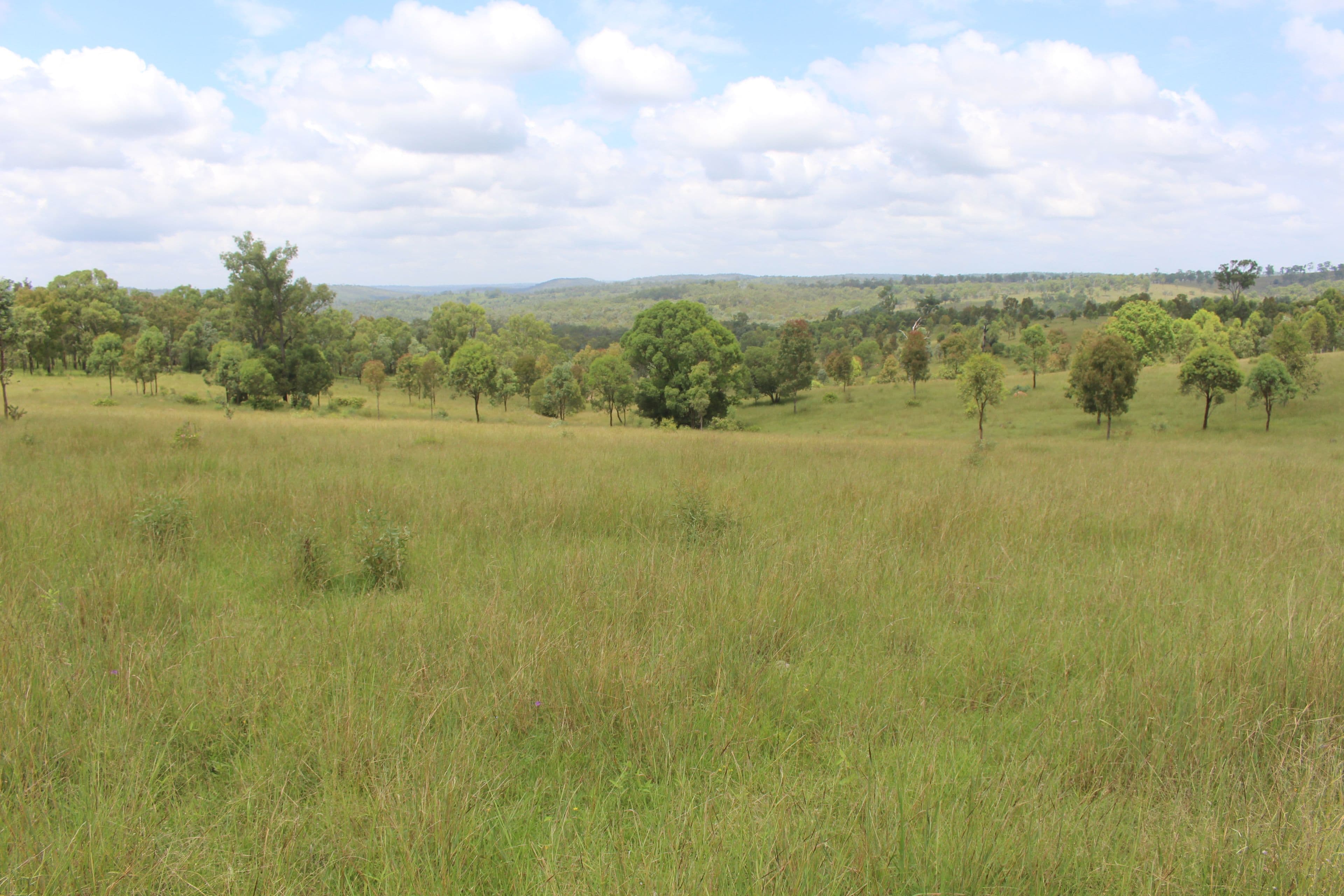 Lot 5 Old Esk North Road, South East Nanango QLD 4615, South East Nanango - Thumbnail 6