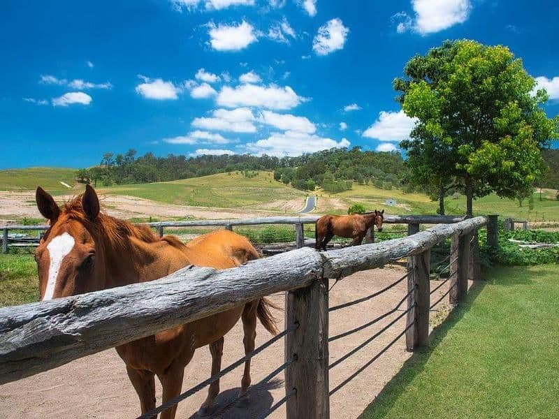 Lot 16 Hereford Close, Kingsholme QLD 4208, Kingsholme - Thumbnail 3