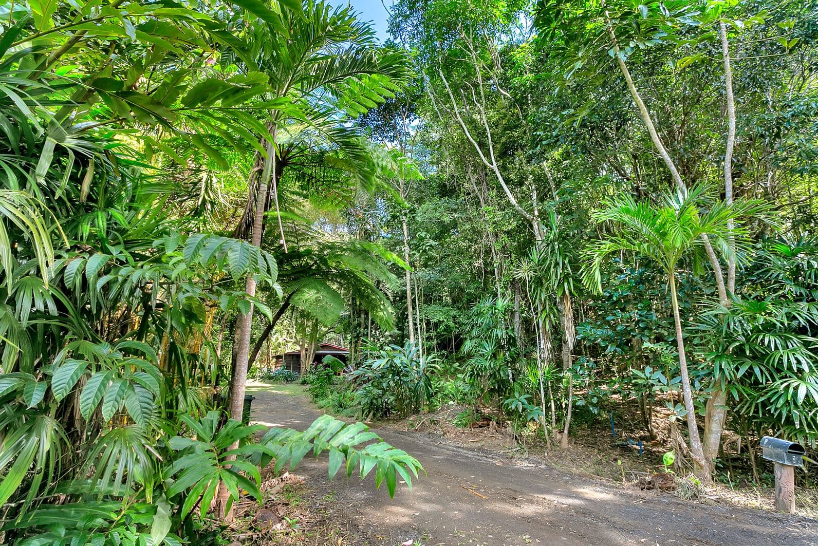 4 Hope Close, Kuranda QLD 4881, Kuranda - Thumbnail 2