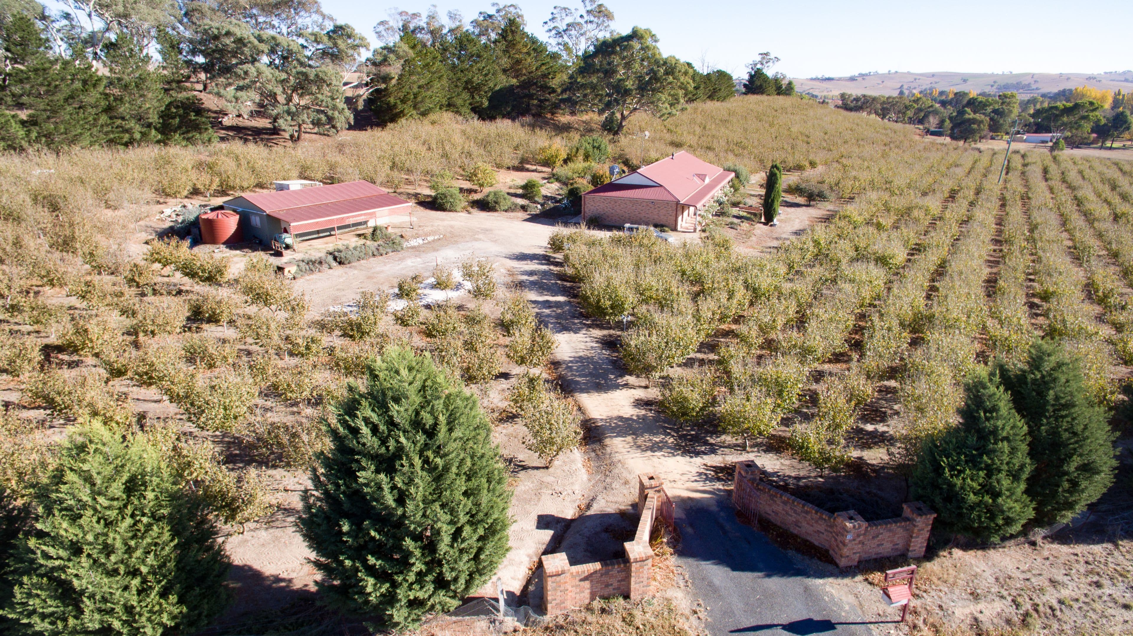 12 Box Flat Road, O'Connell NSW 2795, O'Connell - Thumbnail 6