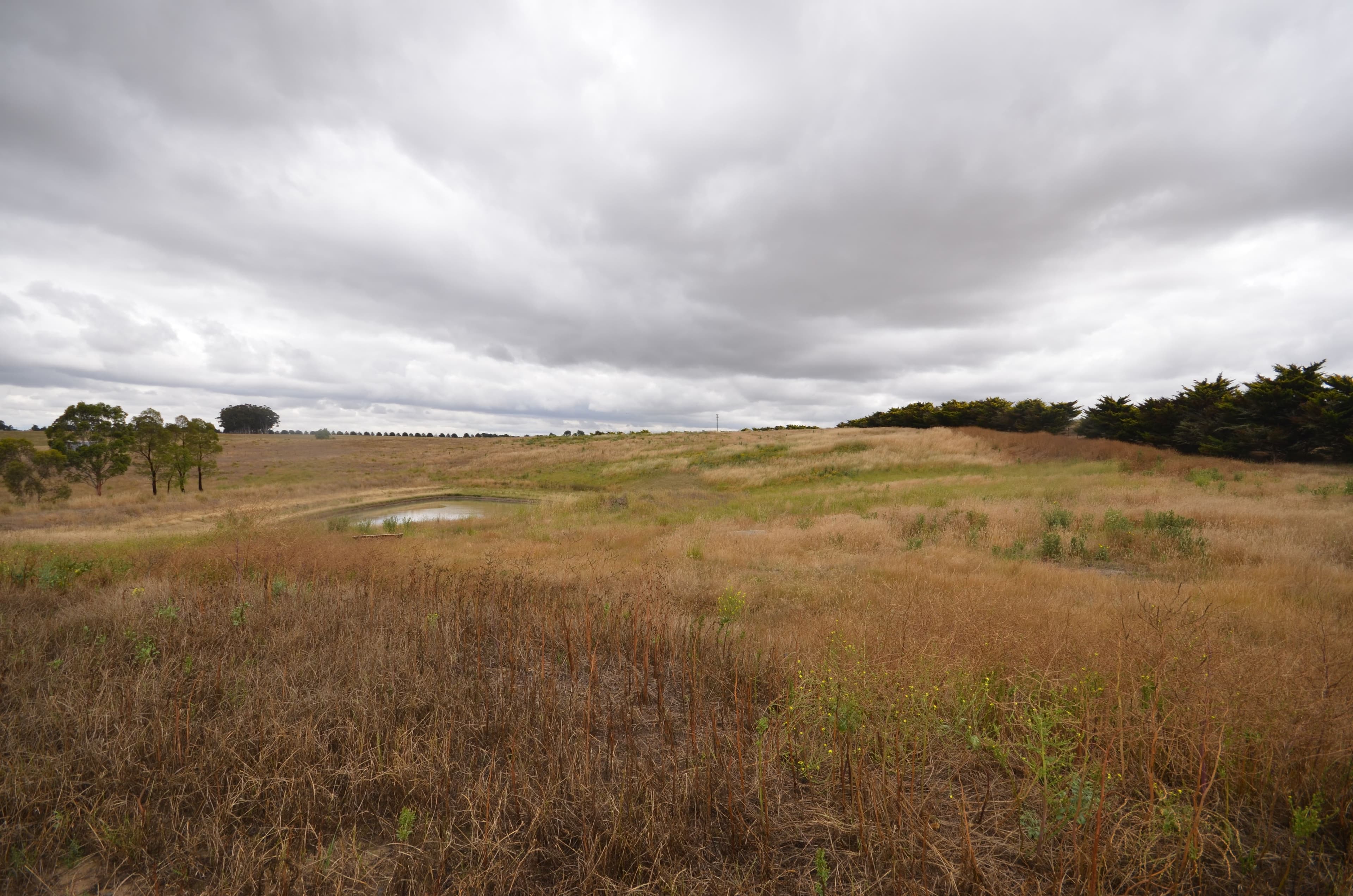 13 Pett Street, Skipton VIC 3361, Skipton - Thumbnail 4