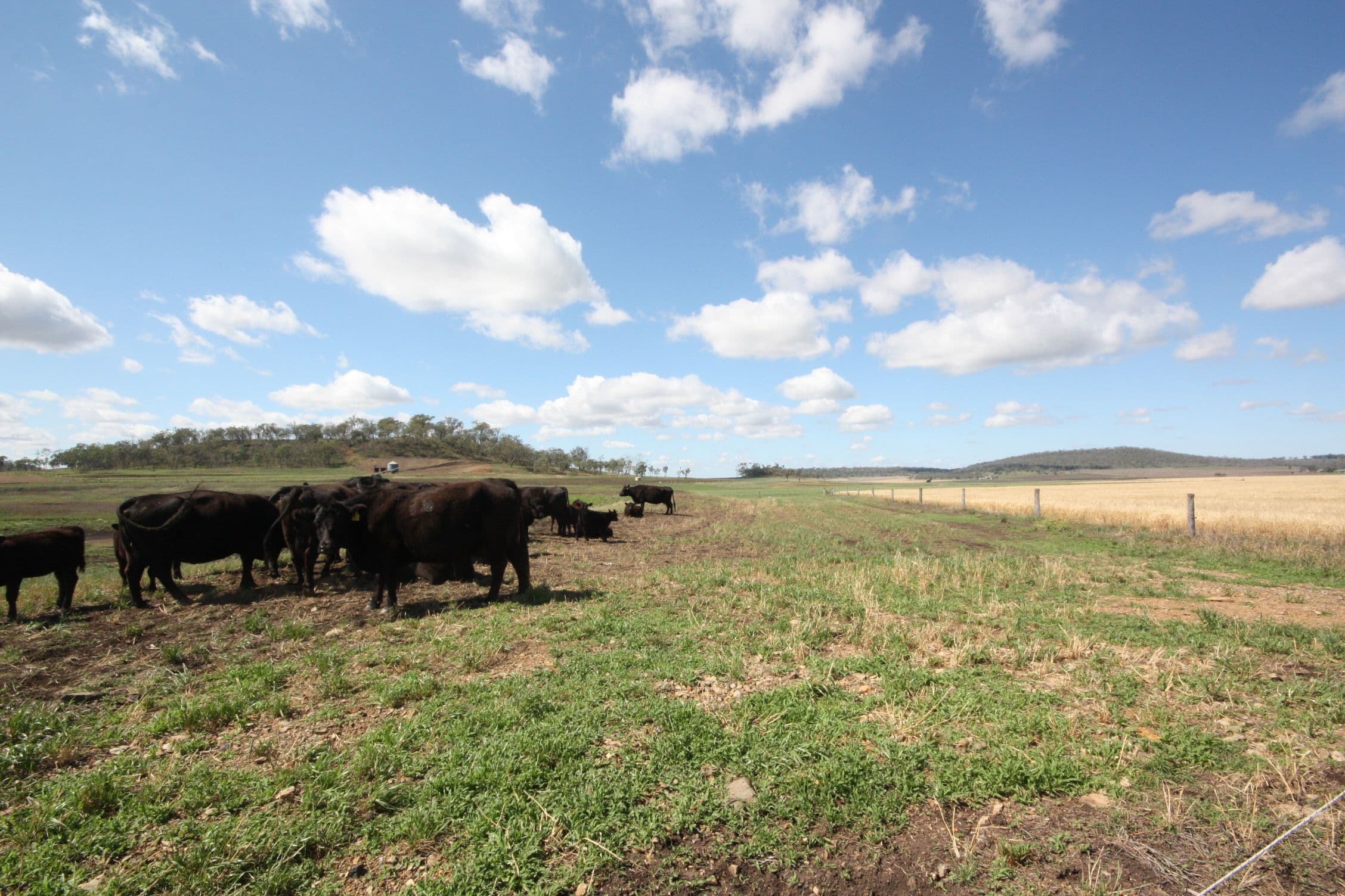 0 Richardson Road, Southbrook QLD 4363, Southbrook - Thumbnail 6