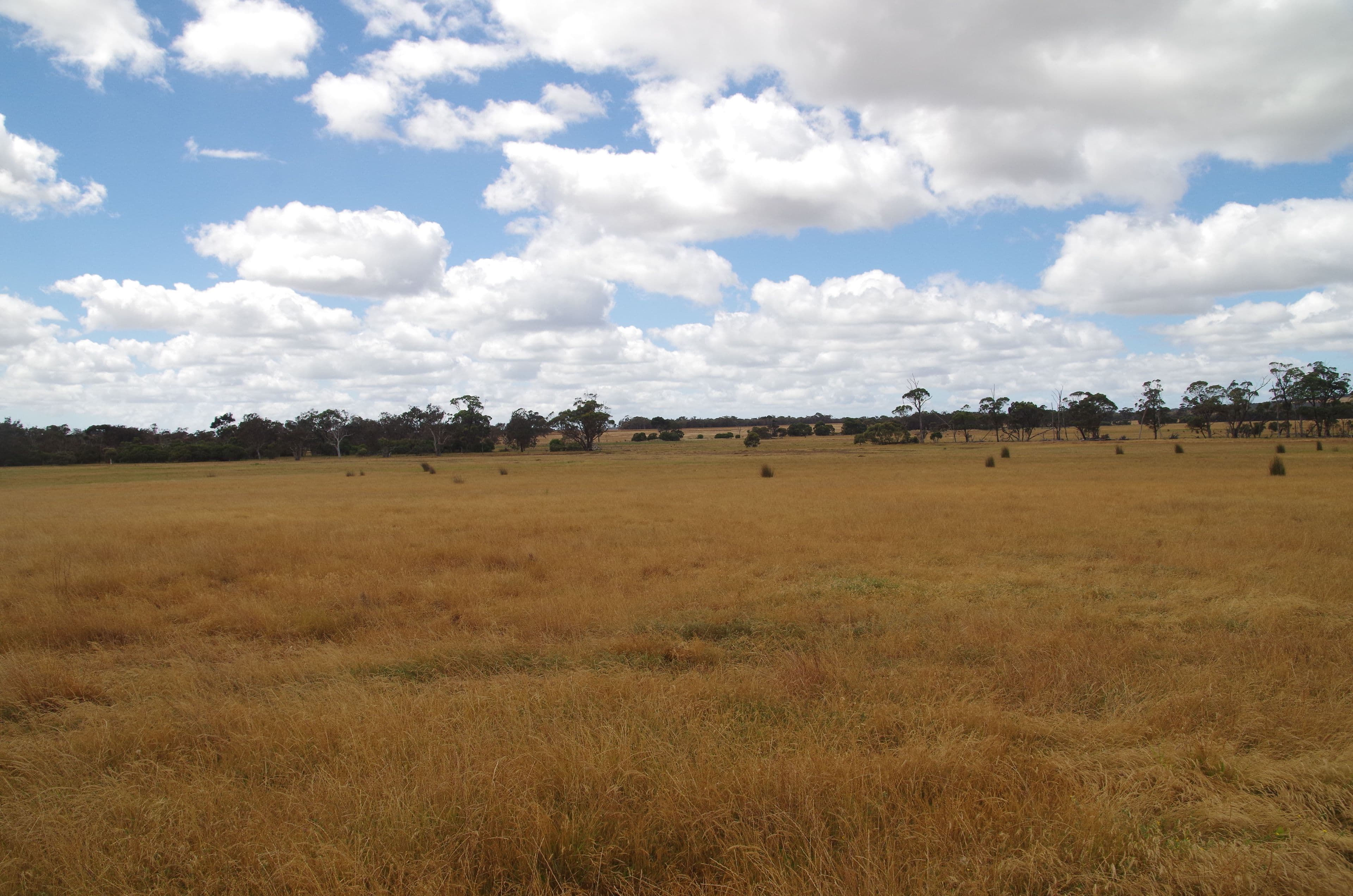 L3215 Chester Pass Road, Takalarup WA 6324, Takalarup - Thumbnail 3