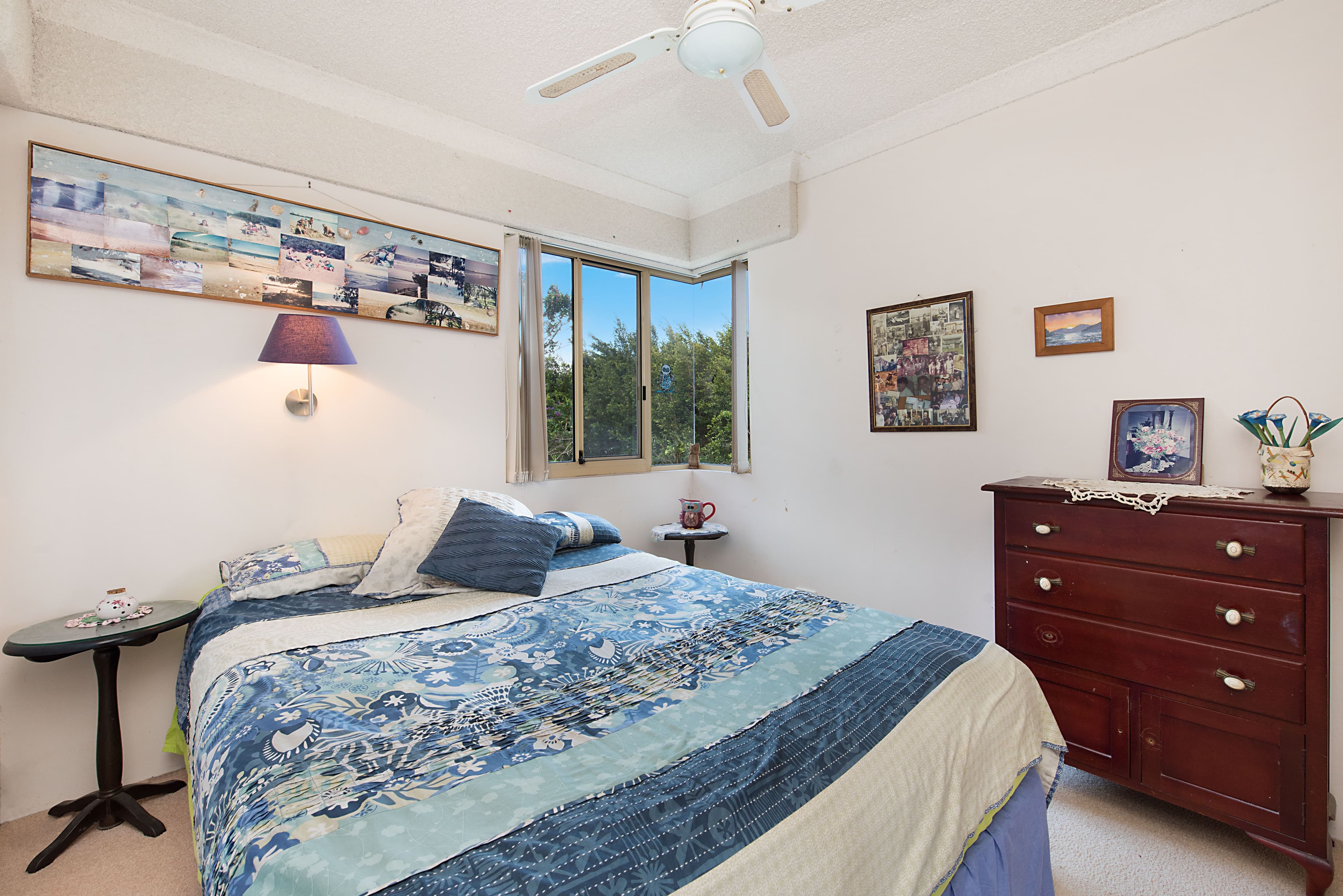 149 Burnett Street, Buderim QLD 4556, Buderim - Thumbnail 8