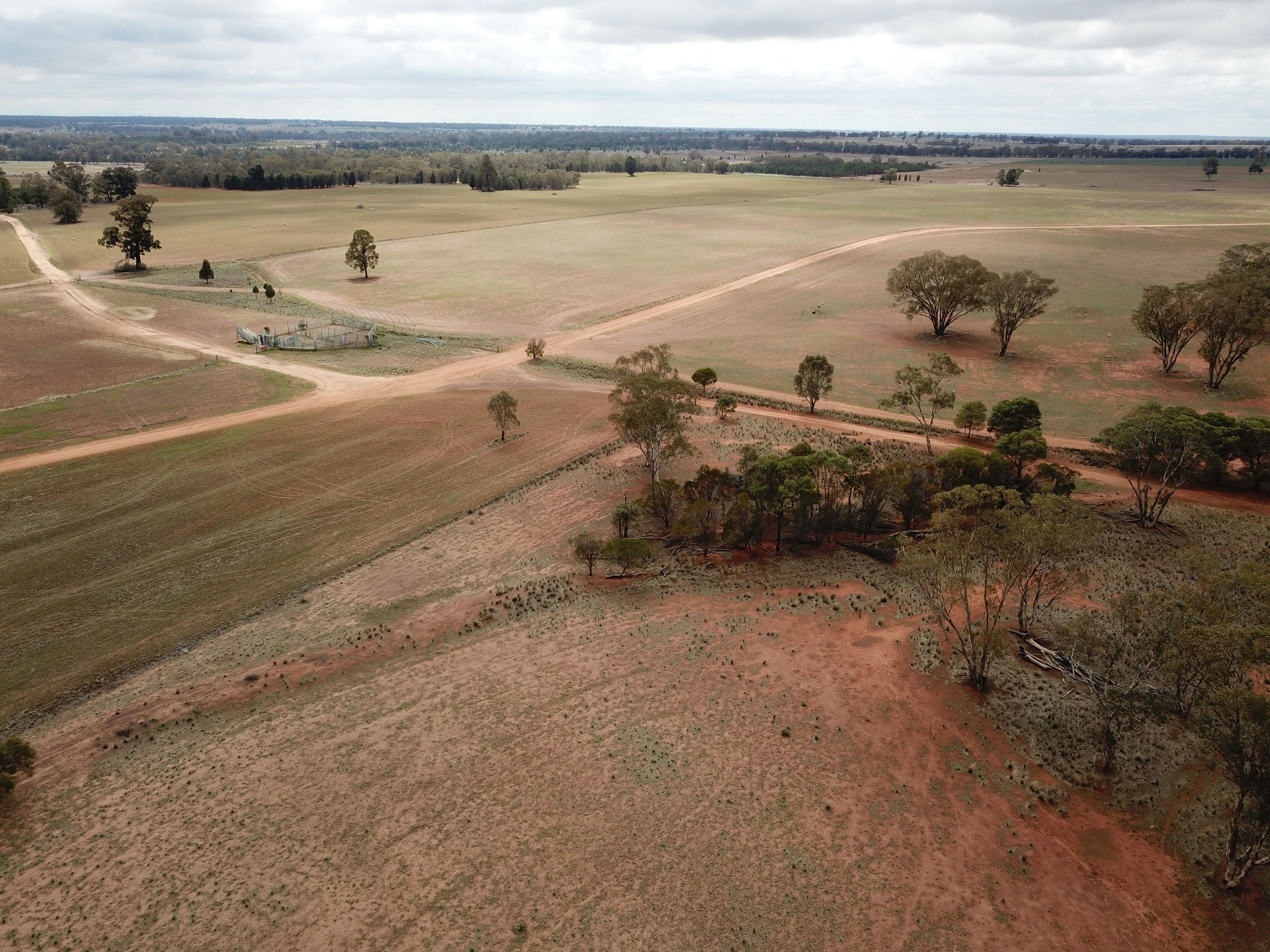 1020 Eumungerie Road, Dubbo NSW 2830, Dubbo - Thumbnail 4