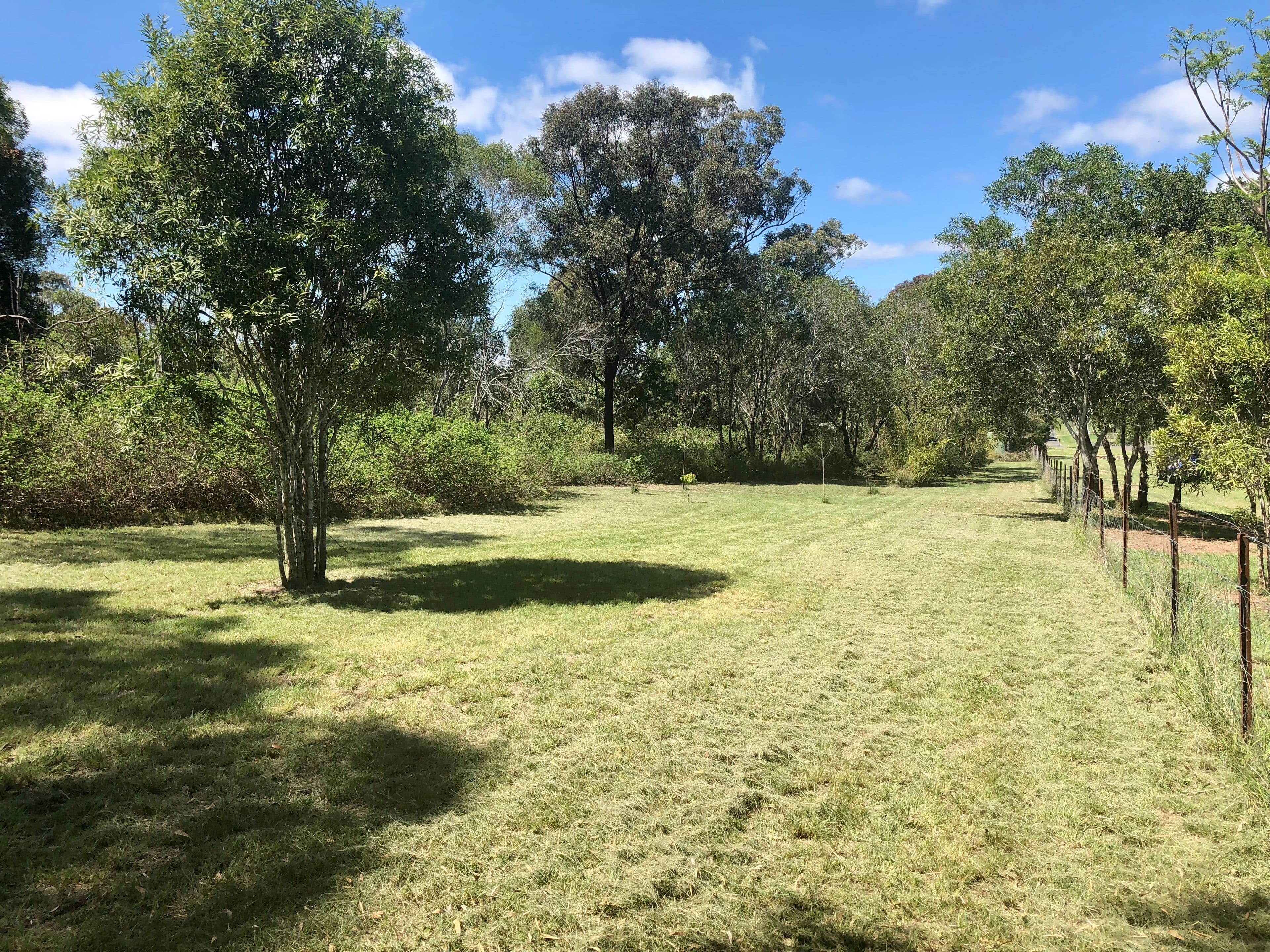 Lot 49 Greenhills Drive, Blackbutt QLD 4314, Blackbutt - Image 1