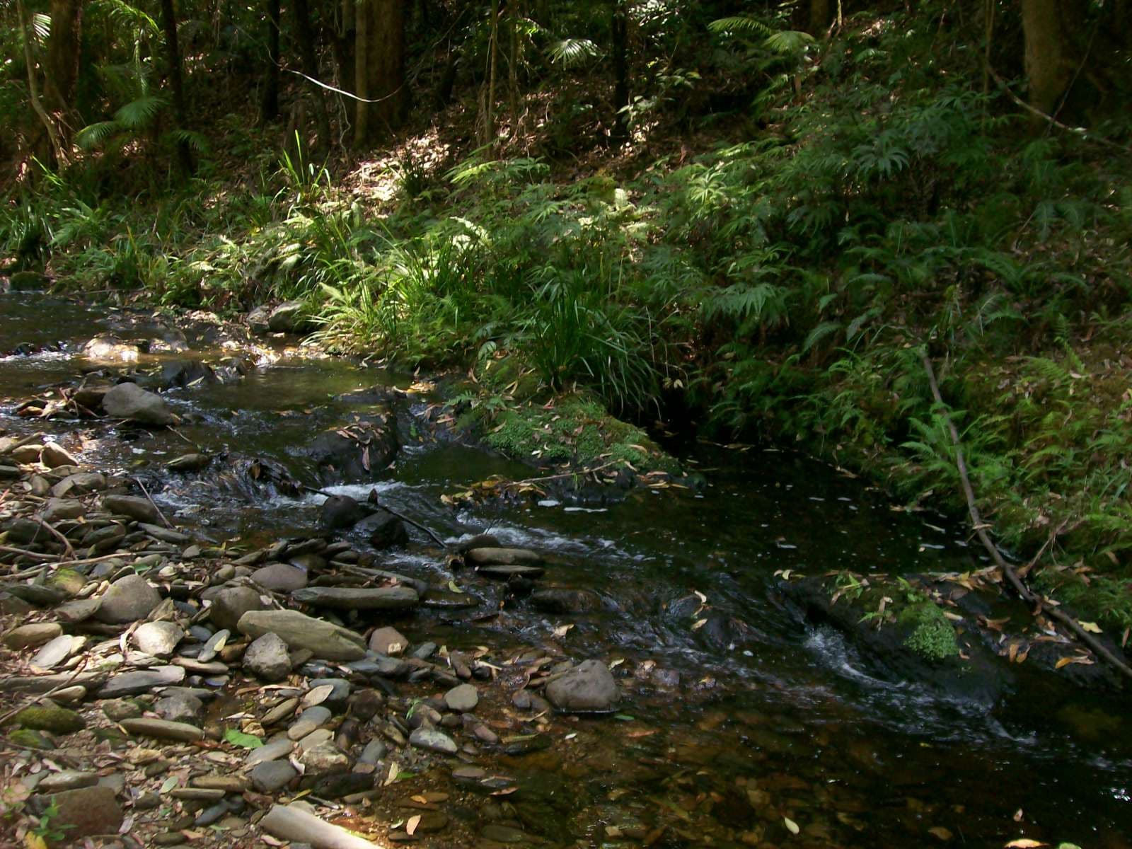 3566 Kalang Road Kalang, Bellingen NSW 2454, Bellingen - Thumbnail 8