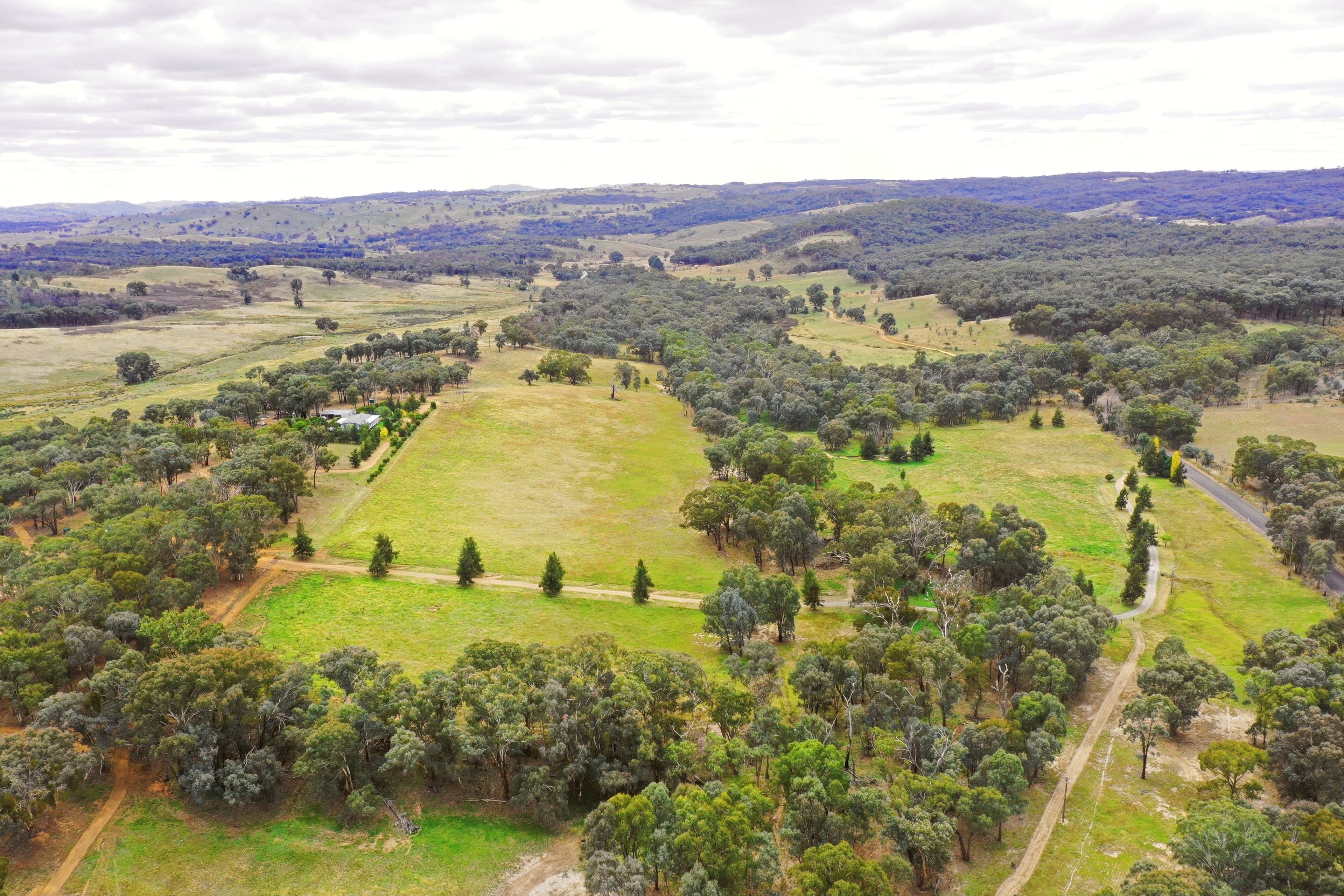 831 Taylors Flat Road, Boorowa NSW 2586, Boorowa - Image 1